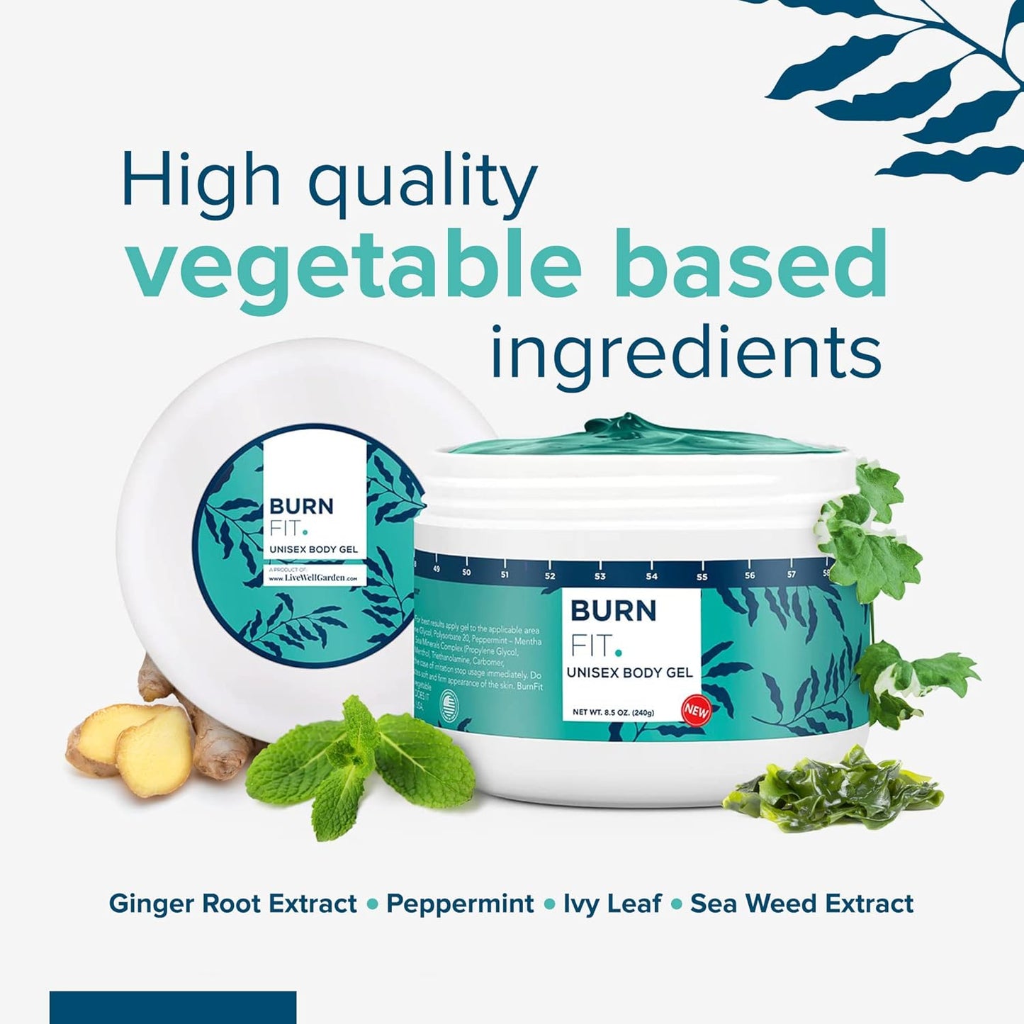 Body Gel – Anti Cellulite Cream by Burn Fit for Belly & Body, Belly Firming and Tightening Cream, Non-Sticky Cold & Hot Cream for Cellulite, Skin Firming Body Lotion for Smoother Skin - 8.5 Oz.