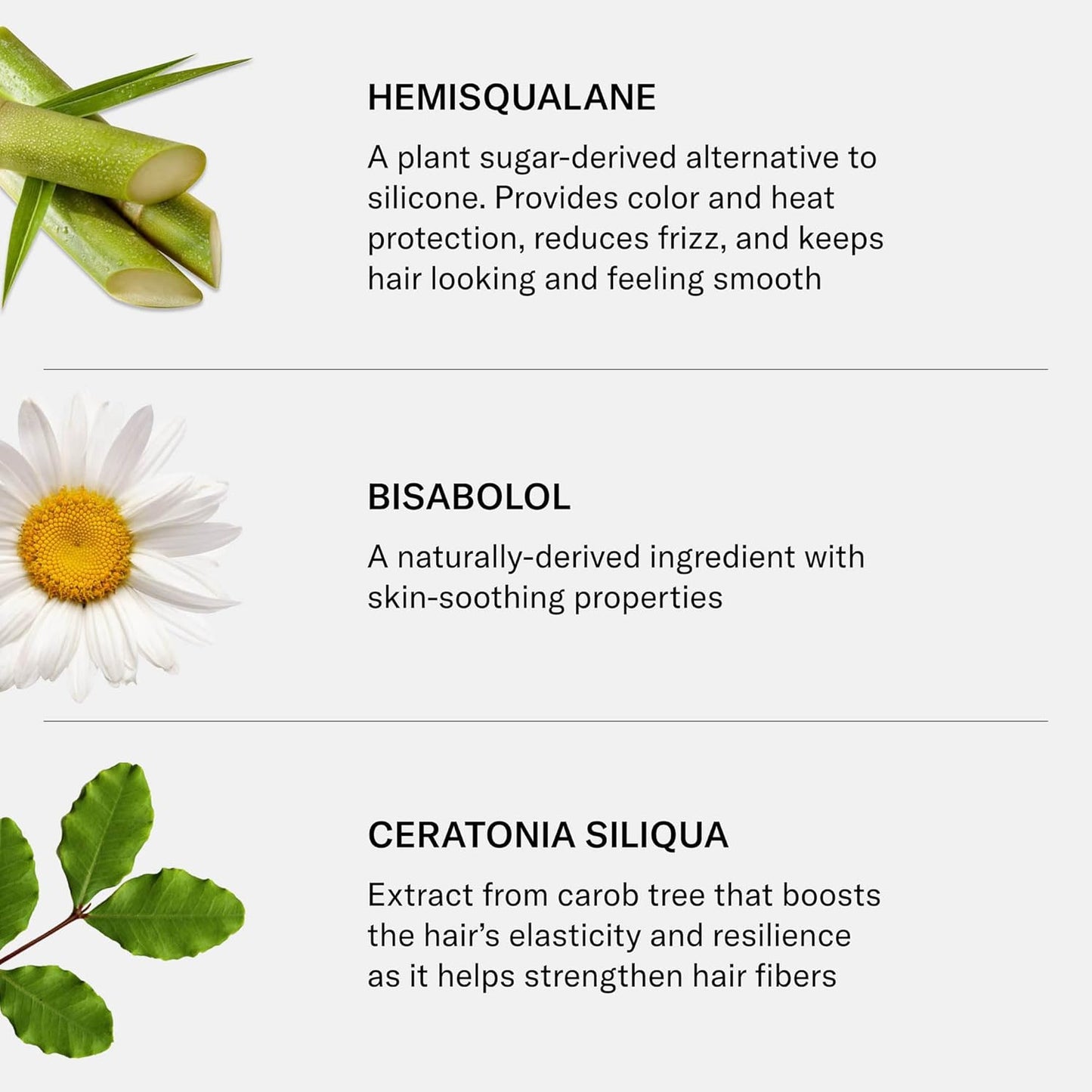 SEEN - Blow-Out Creme - Scented - Non-Comedogenic & Sulfate-Free Blow Out Hair Cream- Reduces Frizz- Heat Protectant- Safe for Sensitive & Acne Prone Skin