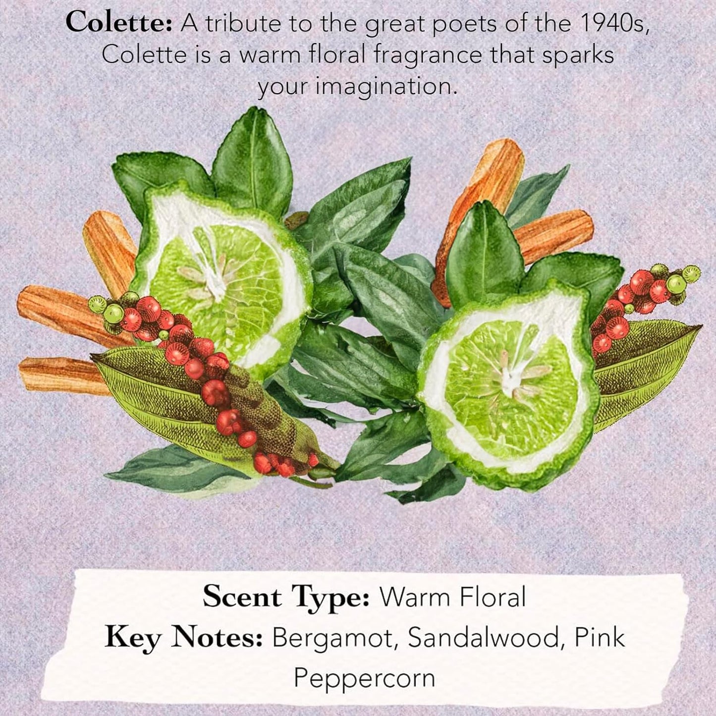 Tocca Women's Perfume Mini Discovery Sampler Set of 8, 1.5ml Each - Includes Cleopatra, Stella, Florence, Giulietta, Colette, Simone, Belle & Lucia