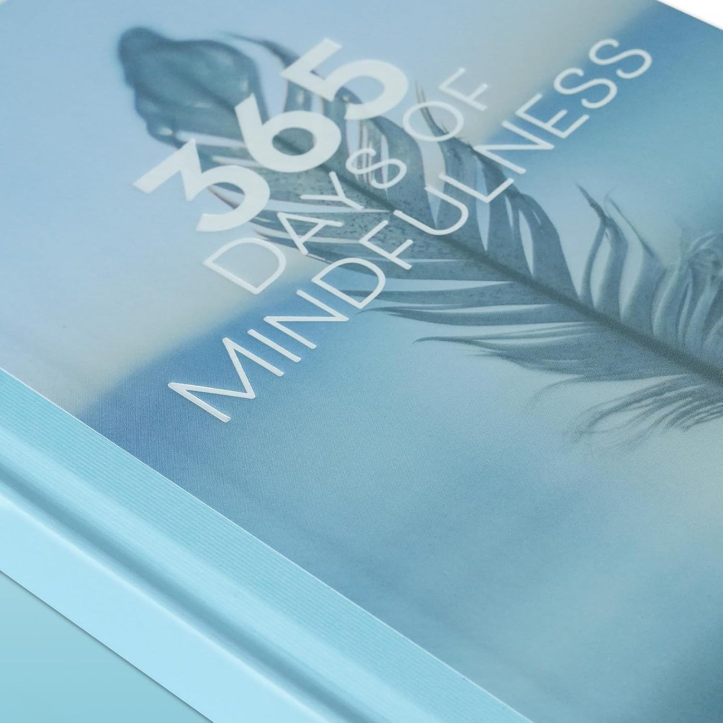 365 Day Mindfulness Journal, Daily Prompts Guided Notebook for Self Discovery Thoughtful Diary