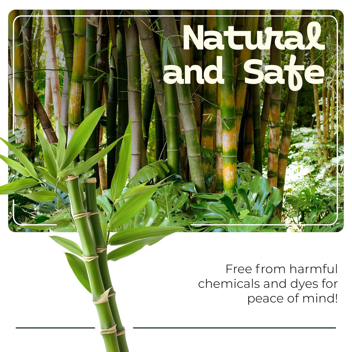 Bamboozle Eco-Friendly Bamboo Cotton Swabs - Sustainable, Biodegradable, & Stylish Personal Care Solution, 1000 count