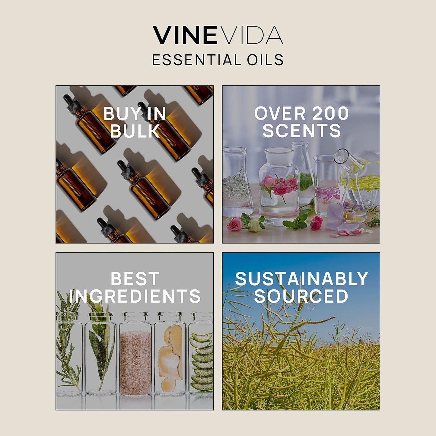 VINEVIDA Fresh Ginger Root Essential Oil 16 oz - Undiluted Ginger Root Oil 16 oz - Ginger Root Candle Oil Scent - DIY Candle Scents for Candlemaking - Bulk Essential Oil for Soap Making Safe for Skin