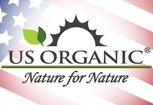 US Organic Ylang Ylang Essential Oil – 100% Pure Complete Grade, USDA Certified, Steam Distilled from Cananga Odorata – Floral Scent for Diffuser, Perfumery, Skincare – 10ml
