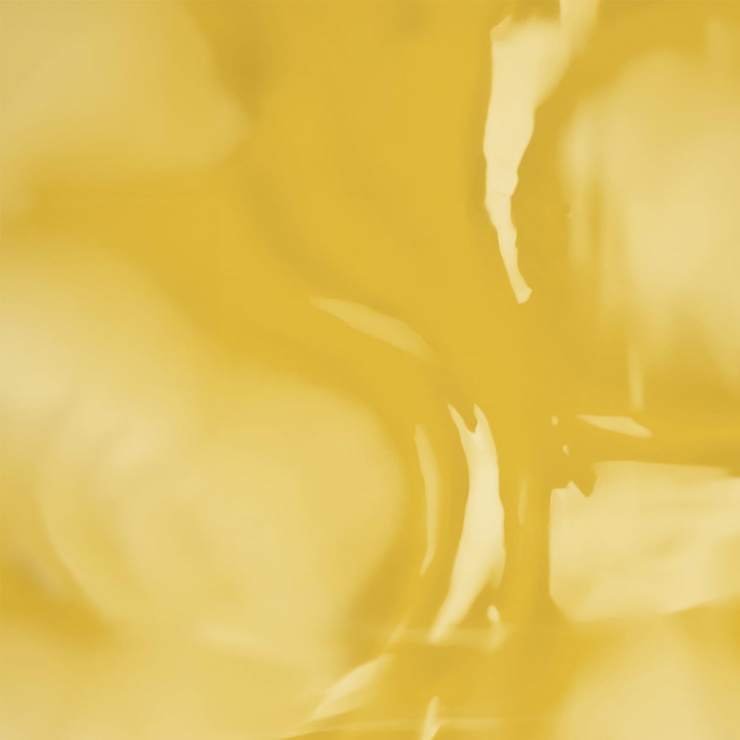 Banyan Botanicals Sunflower Oil – Pure & Organic Sunflower Seed Oil for Skin, Body, Hair & More – Multiple Sizes – 24 oz – Expeller Pressed Non GMO Chemical Free