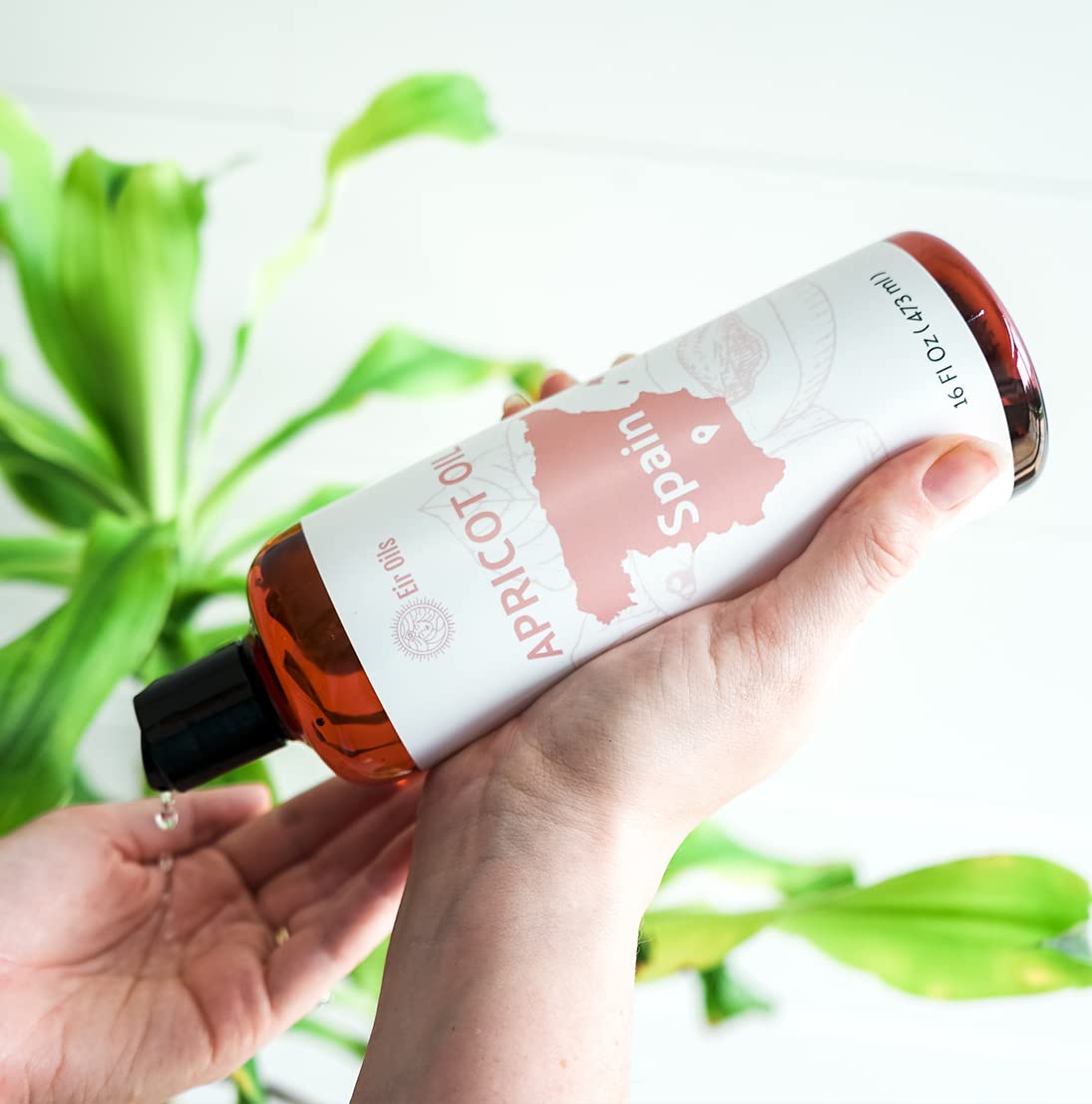 Apricot Kernel Oil - Direct from Spain and Turkey - 100% Pure Carrier Oil for Hair, Face, and Skin - Cold-Pressed Carrier Oils (1 Gallon)