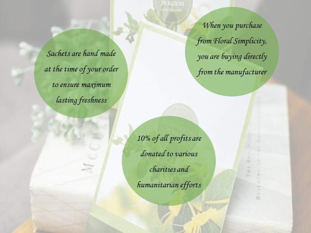 Tropical Infusion Scented Sachets Pack of 6, Spring and Summer - Long-Lasting Scented Bags, Home Fragrance, Air Freshener & Deodorizer for Closet, Room, Drawer, or Cars, Made in US