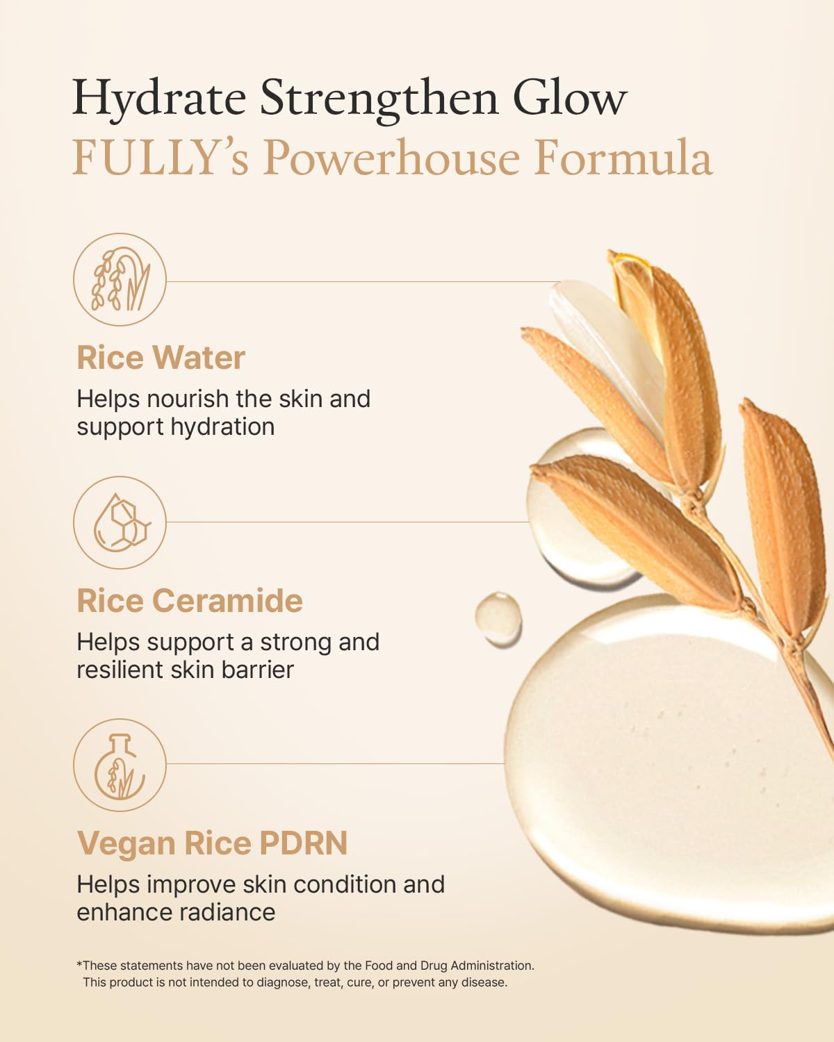 FULLY Rice Ceramide Moisturizing Cream – Deep Hydration Korean Facial Cream with Rice Bran Extract & Ceramide, Strengthens Barrier, Glowing Skin, Fragrance-Free, Vegan& Dermatologist Tested 3.04 fl.oz