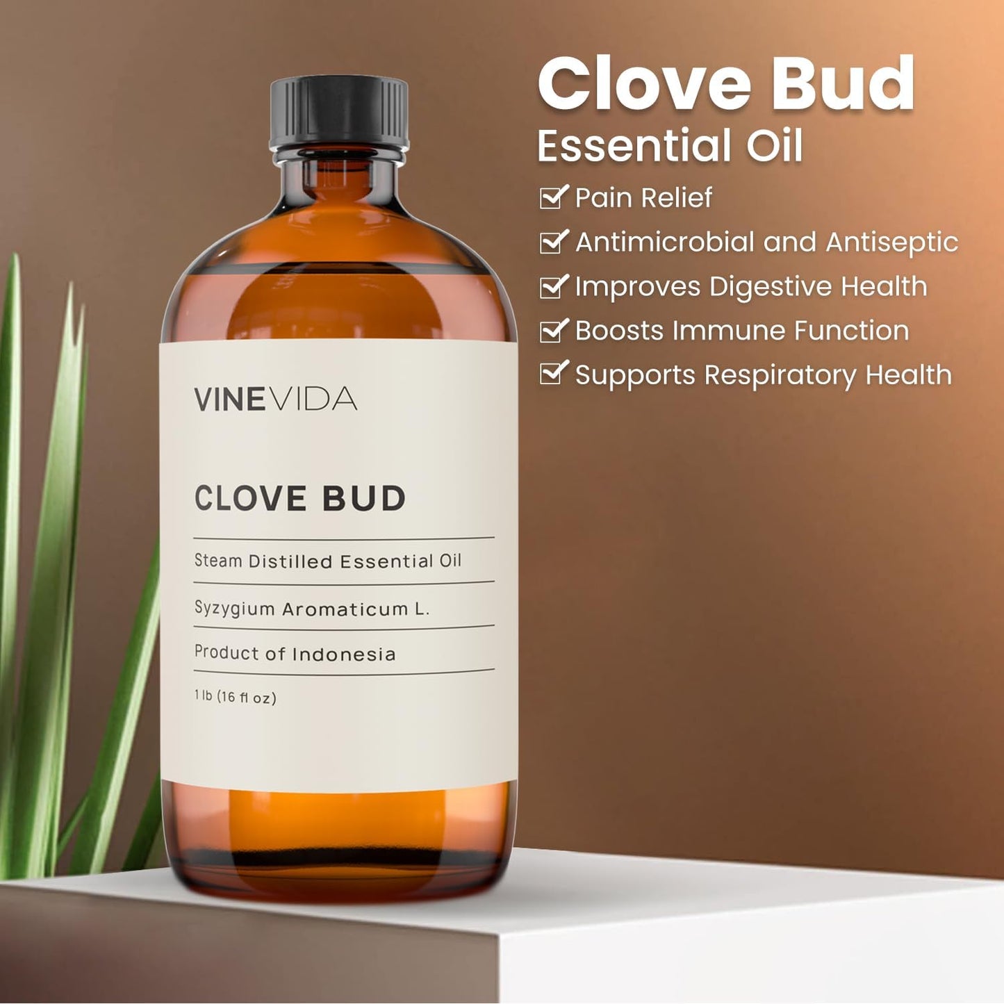 VINEVIDA Clove Bud Essential Oil 16 oz - Undiluted, Pure, Vegan, and Sustainable