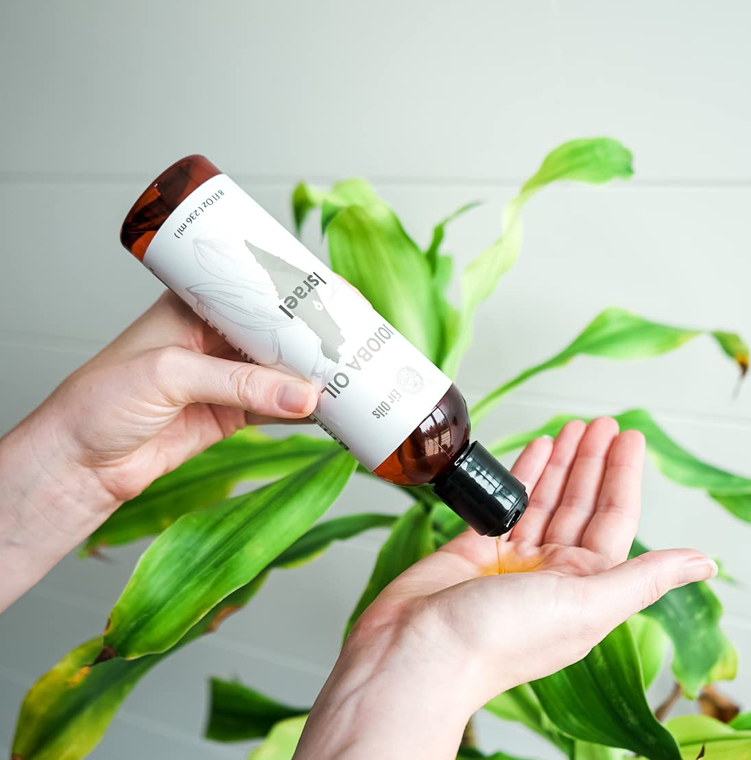 Jojoba Oil - Direct from EIR Oils' Farm in Israel - 100% Pure Carrier Oil for Hair, Face, and Skin - Hand-Picked, Cold-Pressed Carrier Oil (4 Gallons)