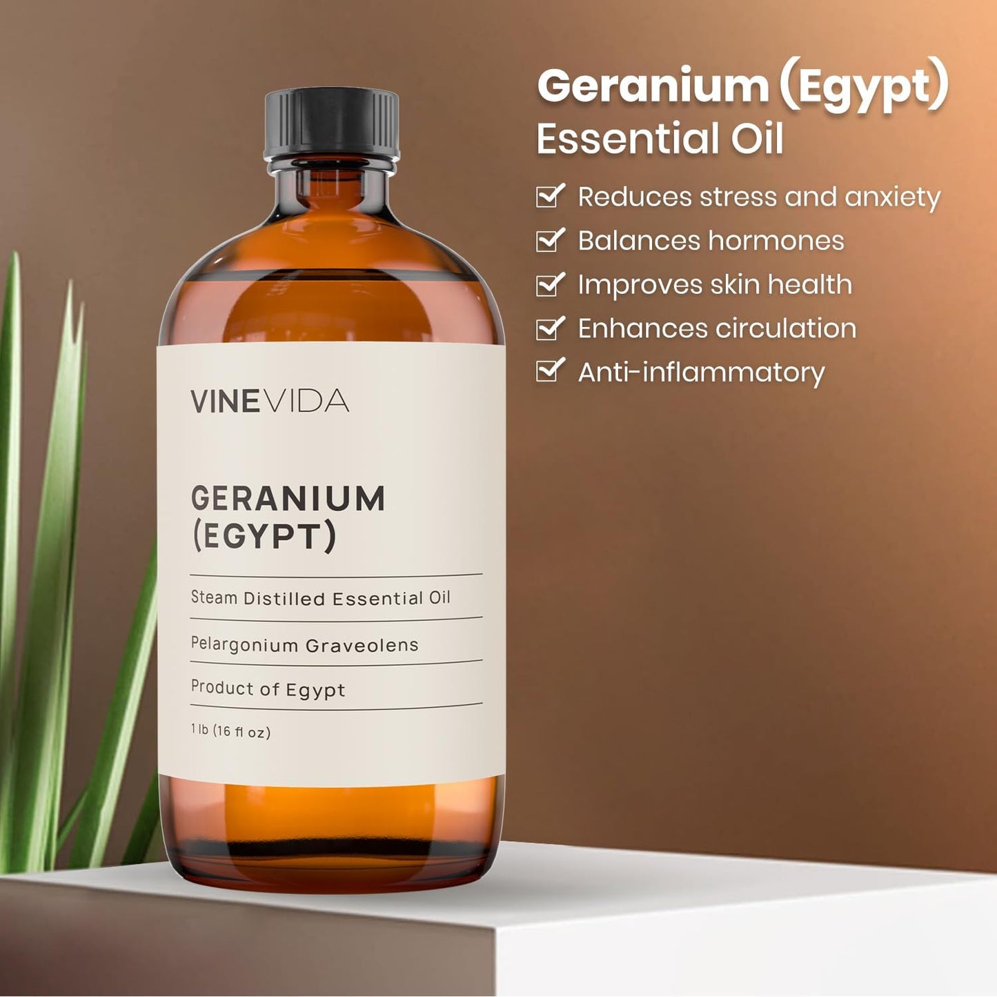 VINEVIDA Geranium (Egypt) Essential Oil 32 oz - Undiluted Geranium (Egypt) Oil 32 oz - Geranium (Egypt) Candle Oil Scent - DIY Candle Scents for Candlemaking - Bulk Essential Oil for Soap Making