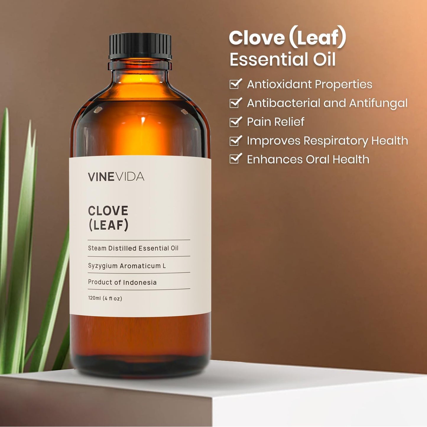 VINEVIDA Clove Essential Oil 4 oz - Undiluted, Clove Candle Oil Scent for DIY Candlemaking & Soap Making (Safe for Skin)