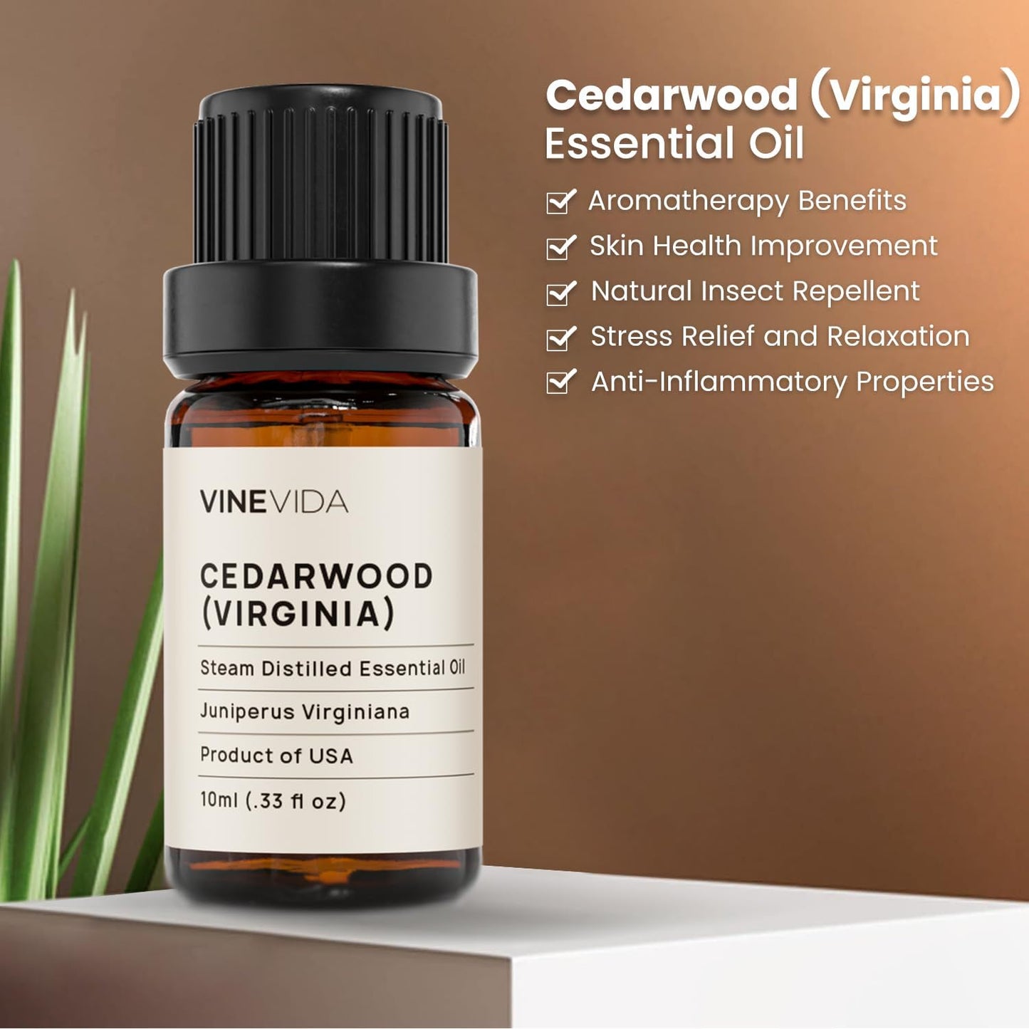 VINEVIDA Cedarwood (Virginia) Essential Oil - Undiluted - DIY Candle Scents - 10 mL