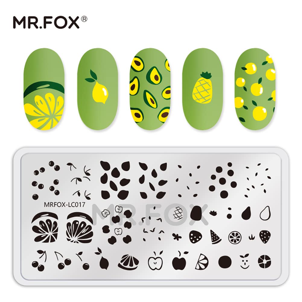 MR.FOX Nail Stamping Plate Set, 5Pcs Nail Art Stamp Kit Templates for Women with Plenty of Images