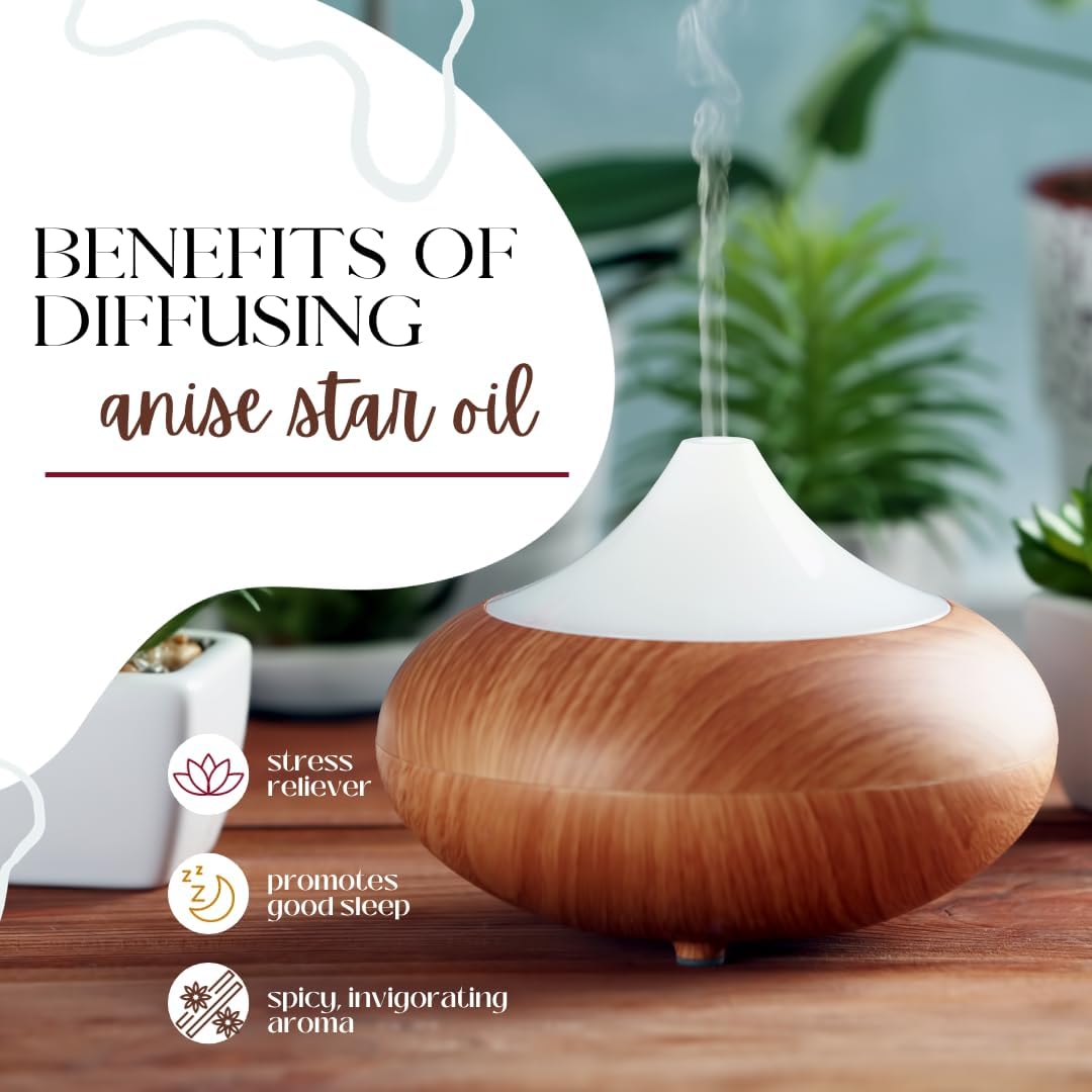 GreenHealth Anise Star Essential Oil 2 Pack – 16 fl oz Each (32 oz Total) | 100% Pure & Uncut | Aluminum Bottles for Long-Term Storage | Bulk Essential Oil for Aromatherapy, Candle Making, Diffusers