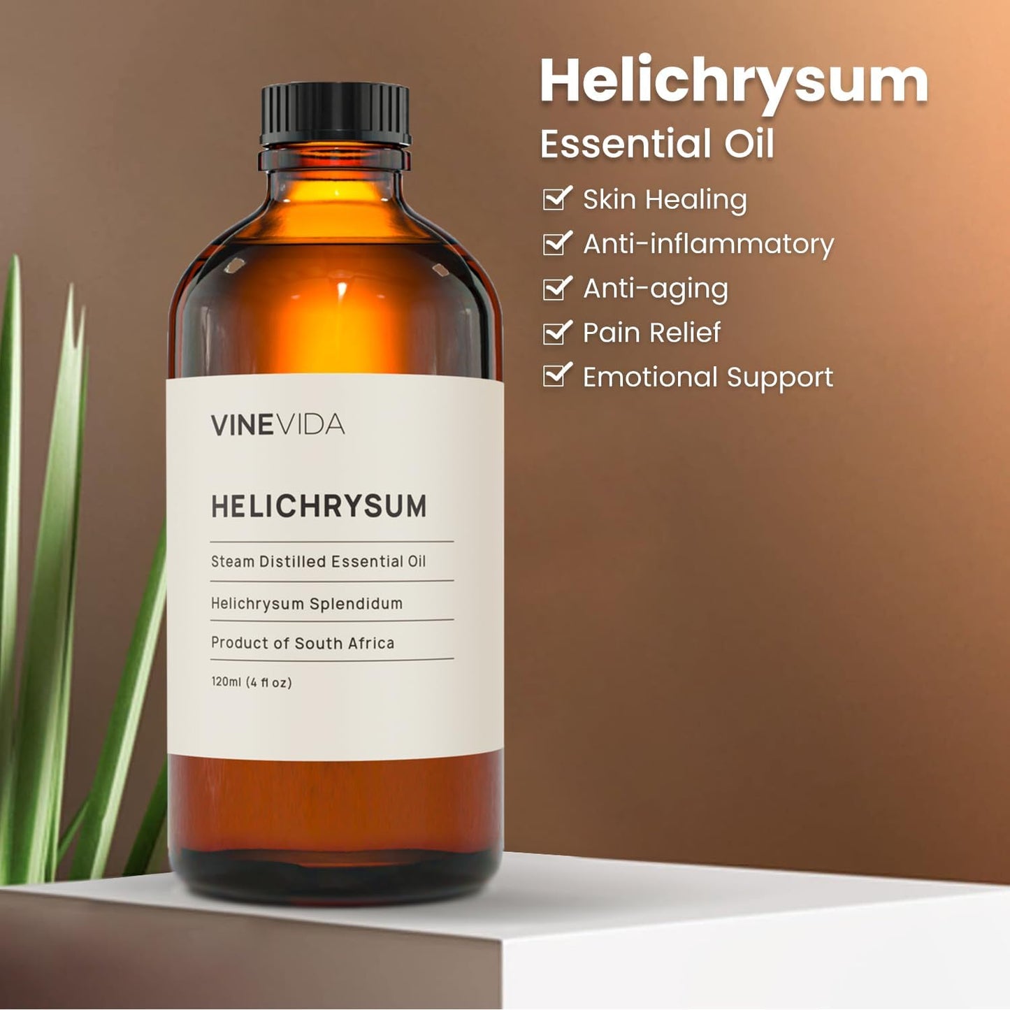 VINEVIDA Helichrysum Essential Oil 4 oz - Undiluted, Pure, Vegan, and Sustainable
