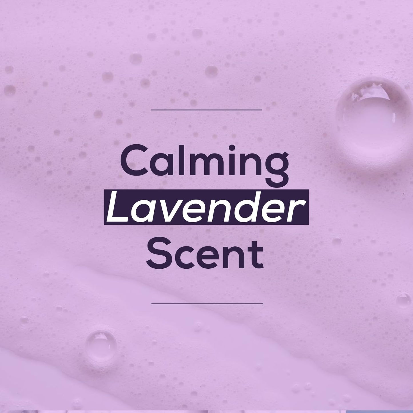 NOVEHA Lavender and Tea Tree Oil Eyelid Foaming Cleanser | Hydrating Hypoallergenic Daily Soap For Eyelashes and Lids, For Demodex, MGD, Stye Eye, Eye Irritations & Dry Skin | 3.38 fl oz (100ml)