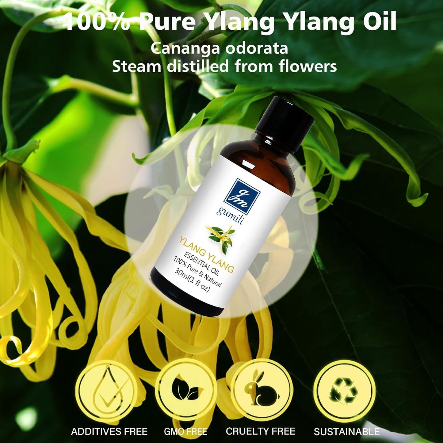 Ylang Ylang Essential Oil 1 Oz – 100% Pure & Natural Ylang Ylang Oil for Skin, Aromatherapy, Massage & Relaxation – 30ml
