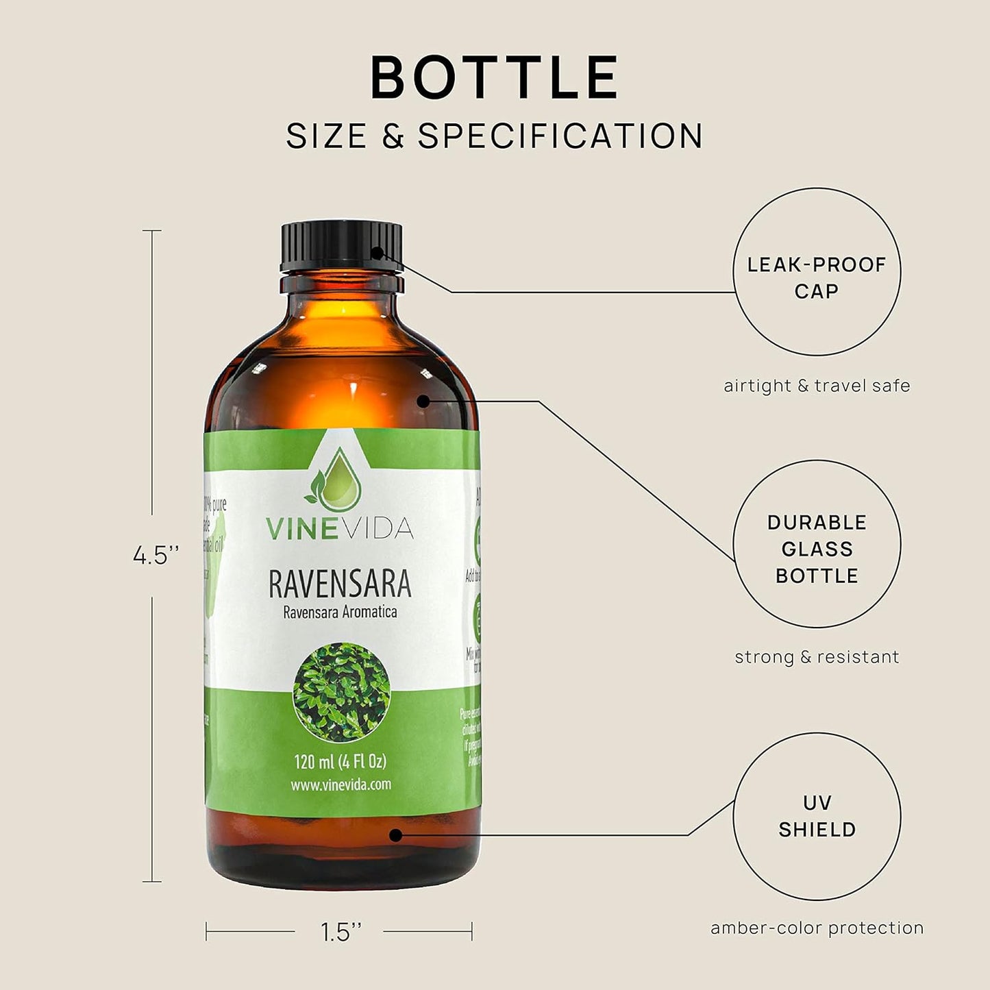 VINEVIDA Ravensara Essential Oil 4 oz - Undiluted, Pure, Vegan, and Sustainable