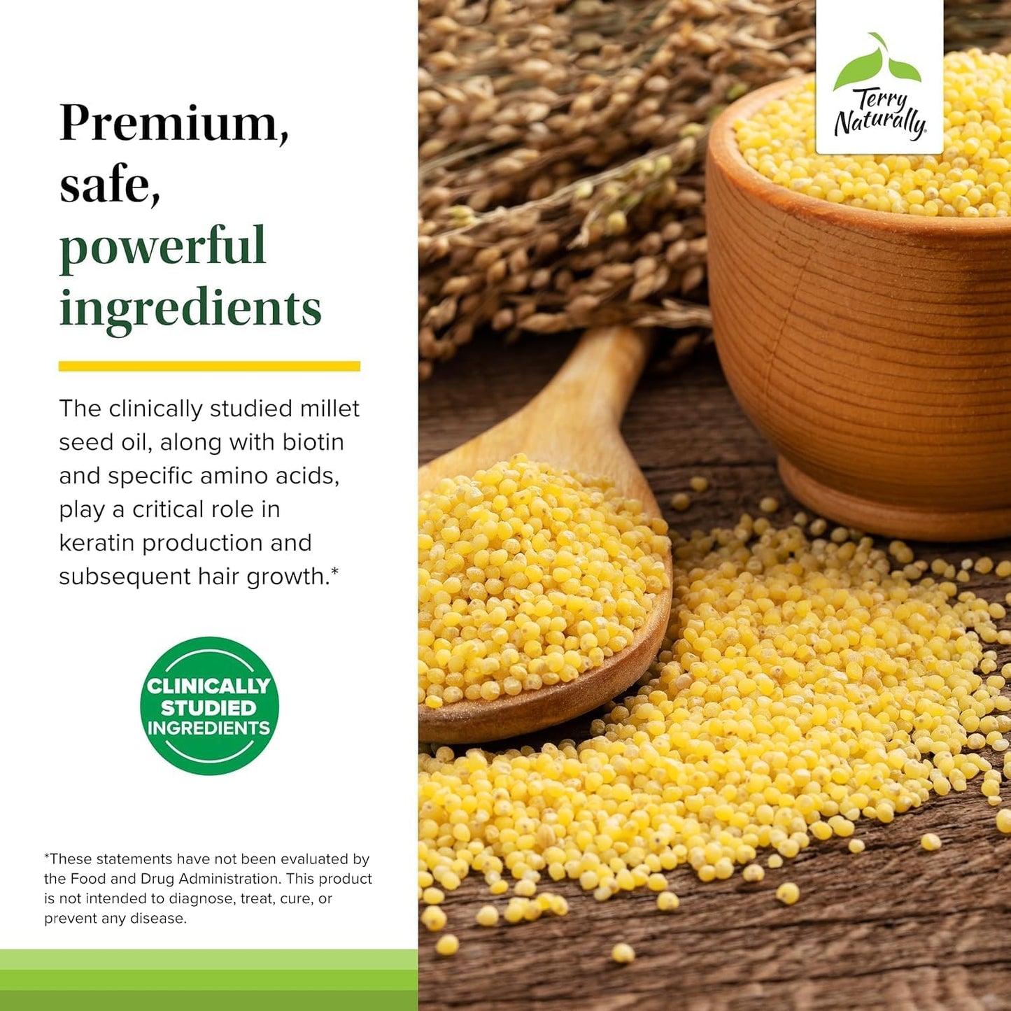 Terry Naturally Hair Renew Formula - Healthy Hair Growth Supplement with Biotin B Vitamins & Zinc - Millet Seed Oil for Keratin Production Support & Stronger, More Radiant Strands - 60 Softgels