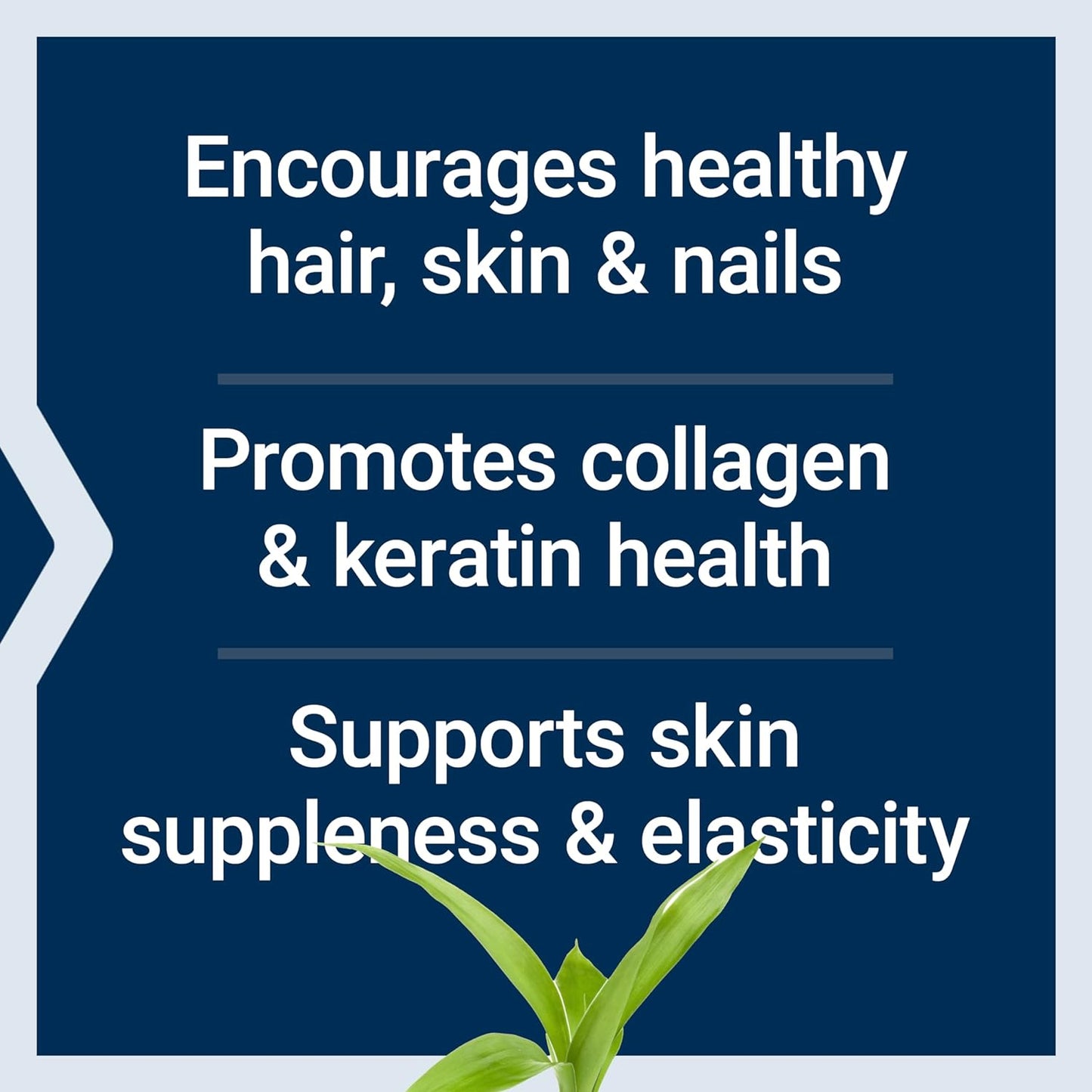 Life Extension Hair, Skin, & Nails- Collagen Plus, 120 Count