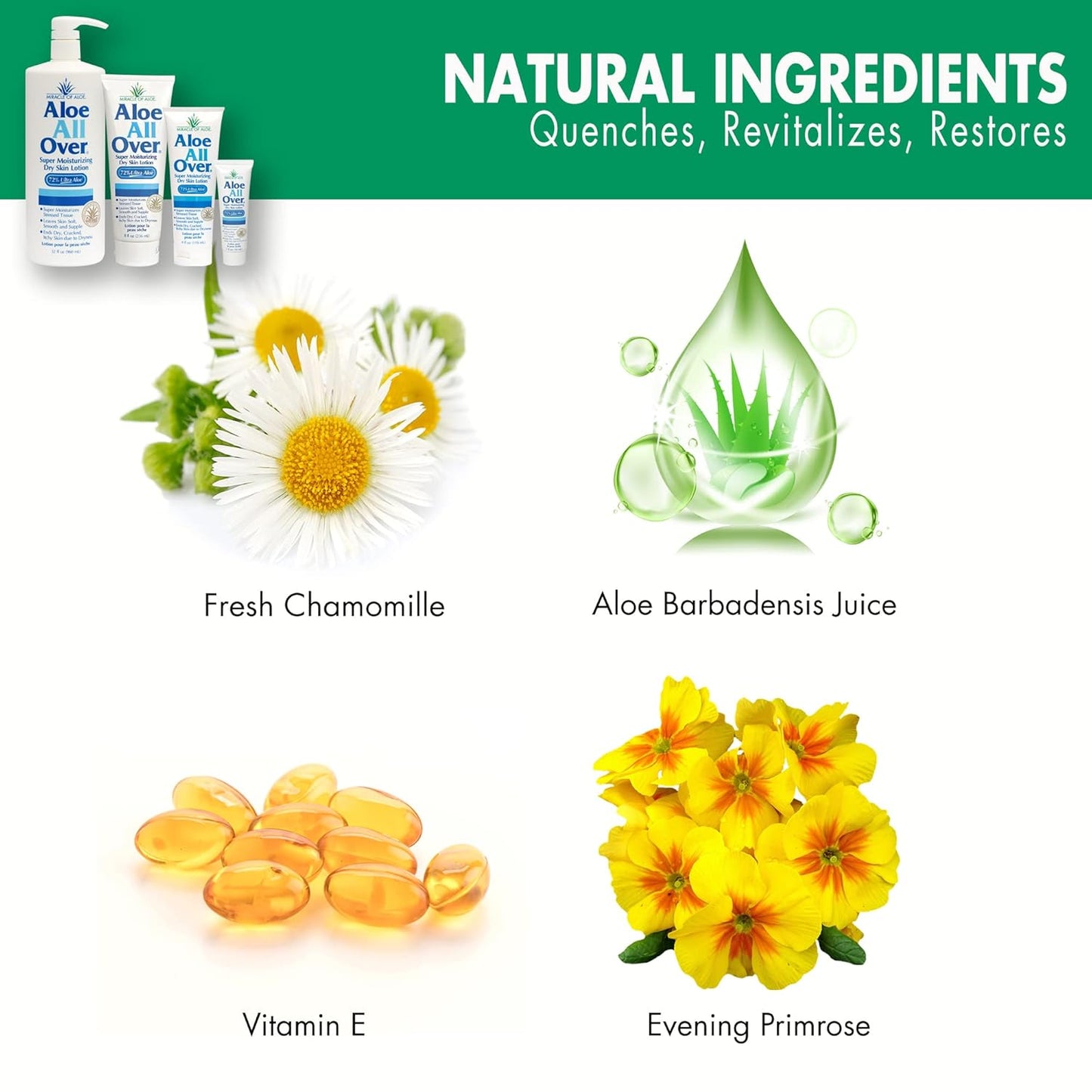 Miracle of Aloe’s Aloe All Over Super Moisturizing Dry Skin Lotion (2-Pack, 4 oz) - Made with 72% UltraAloe Aloe Vera Gel. Safe for Everyone: Men, Women, Kids. Ends Flaking and Restores Dry Skin Fast