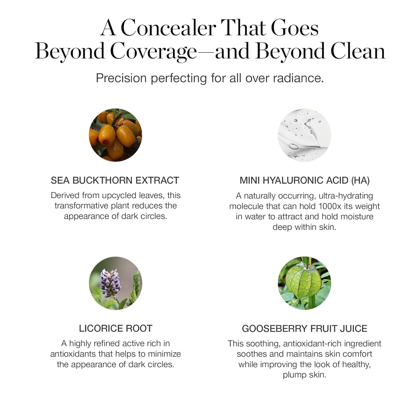 Ogee Complexion Perfecting Under Eye Concealer - Certified Organic Full Coverage Concealer - Buildable Coverage - HOLLY 12.75W - Deep (Warm Undertones)