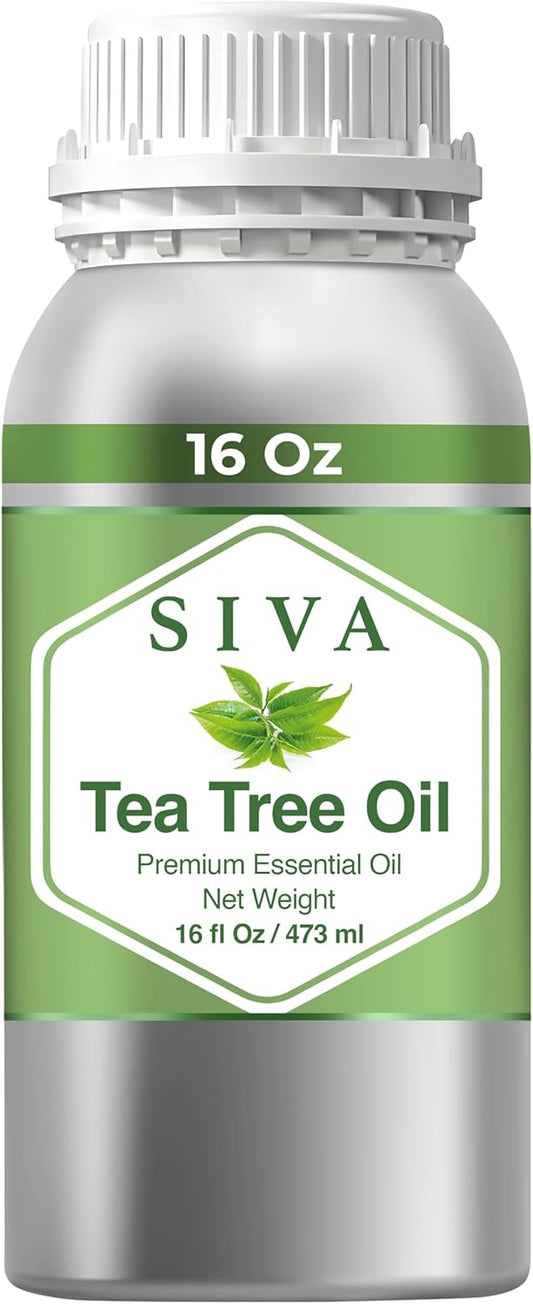 Siva Tea Tree Essential Oil - 16 Fl Oz – Natural Tea Tree Oil - for Diffuser, Face, Skin Care, Aromatherapy, Hair Care, Scalp and Body Massage