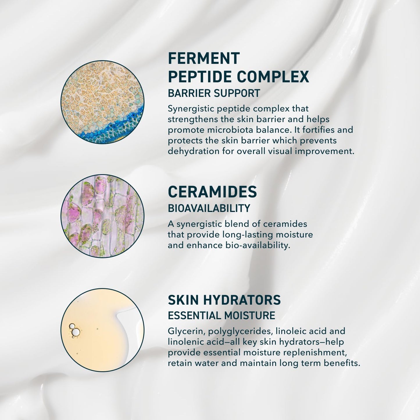 Skin AM/PM Modern Moisturizer – Hydrating Face Cream with Peptides, Ceramides & Glycerin for Dry, Sensitive, or Combination Skin – Non-Greasy Moisturizer for Barrier Support