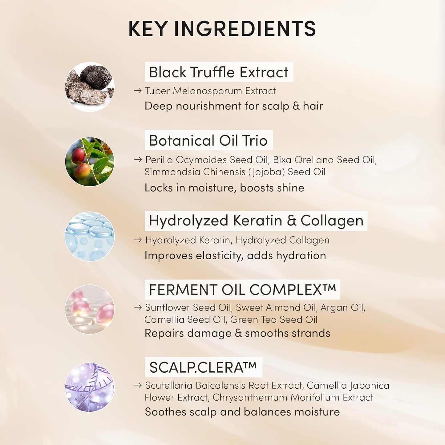 Instant Permanent Hair Color Dye Shampoo Ampoule - Paraben-Free, 5-Minute Easy and Fast Coloring, Keratin & Collagen, Made in Korea (Natural Brown)