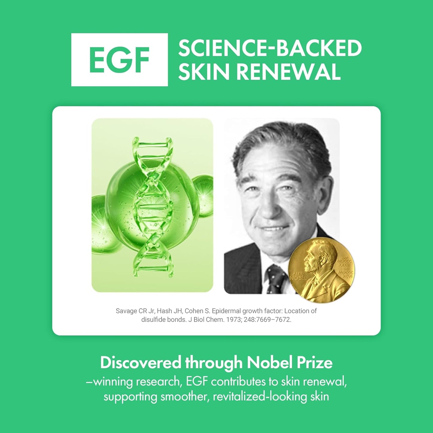 Easydew Mela B Toning Ampoule Cushion Refill - 3-in-1 Age-Defying Sun Shield Full Coverage Cushion Foundation with Niacinamide & Hyaluron-Vital C - Face Makeup Korean Skin Care 0.45 oz (#41 Chestnut)