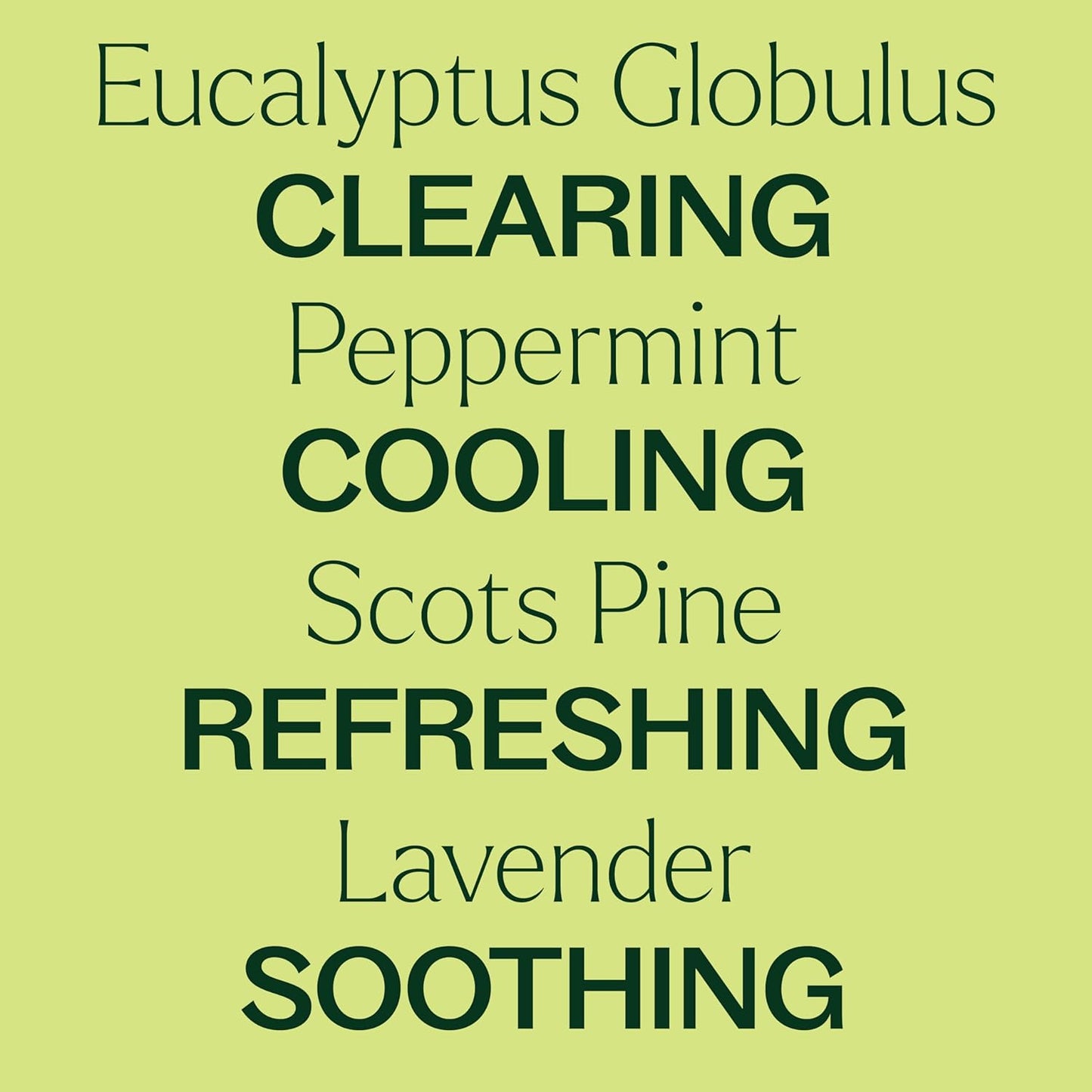 Plant Therapy Respir Aid Essential Oil Blend 10 mL (1/3 oz) Sinus, Airway and Congestion Clearing Oil Blend, 100% Pure, Undiluted, Natural Aromatherapy, Therapeutic Grade