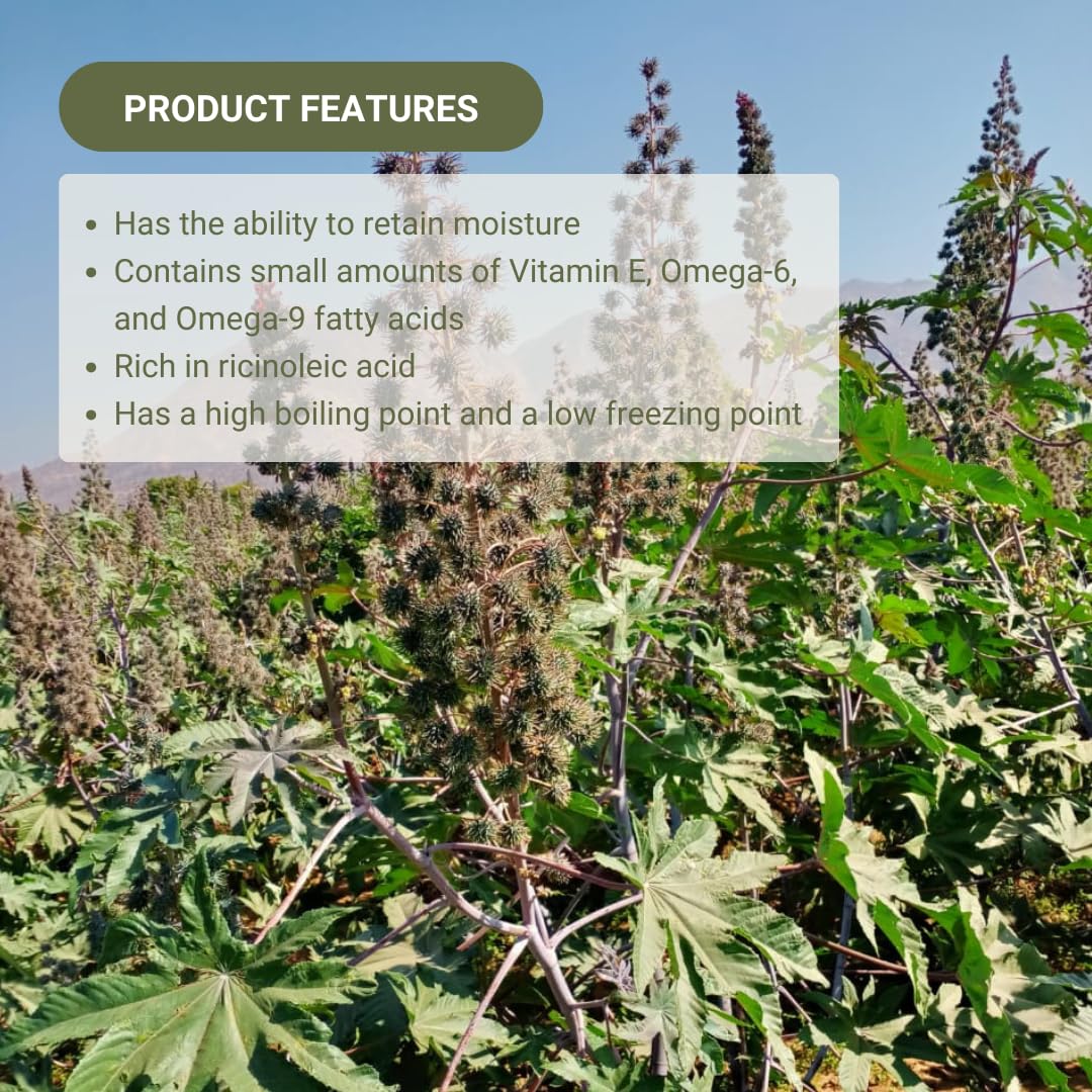 Organic Castor Oil Direct From India - Cold Pressed Castor Oil For Face - Hexane Free (16 oz)