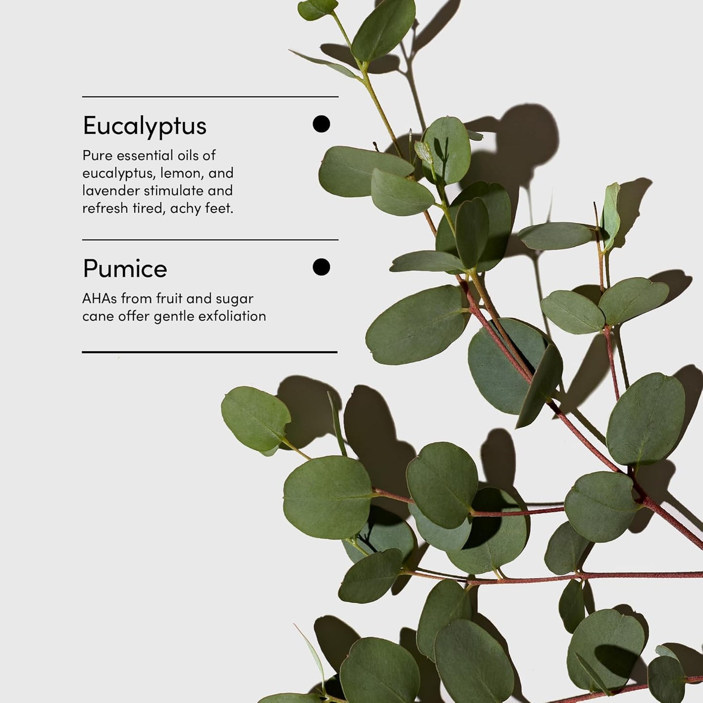 LATHER Foot Scrub with Pumice Stone - Gentle Exfoliating Foaming Foot Scrub for Skin - Cracked Heel Repair for Smooth, Soft Feet - Pedicure Foot Spa | 4 Oz