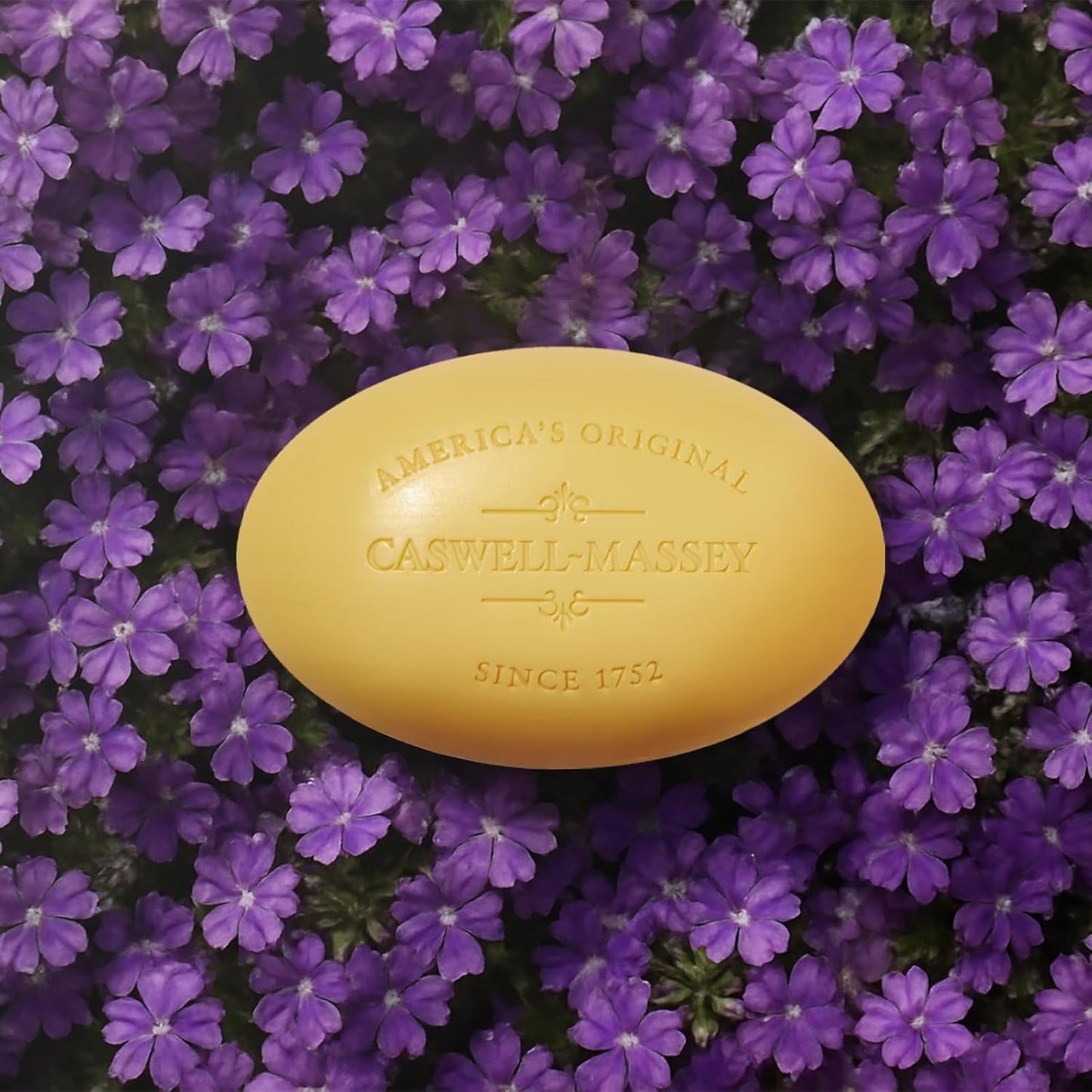 Caswell-Massey Verbena Natural Bar Soap, Bright Citrus Scent, Moisturizing Triple-Milled Body Soap for Men & Women, Plant-Based Formula with Essential Oils, for All Skin Types, Made in USA, 5.8 oz