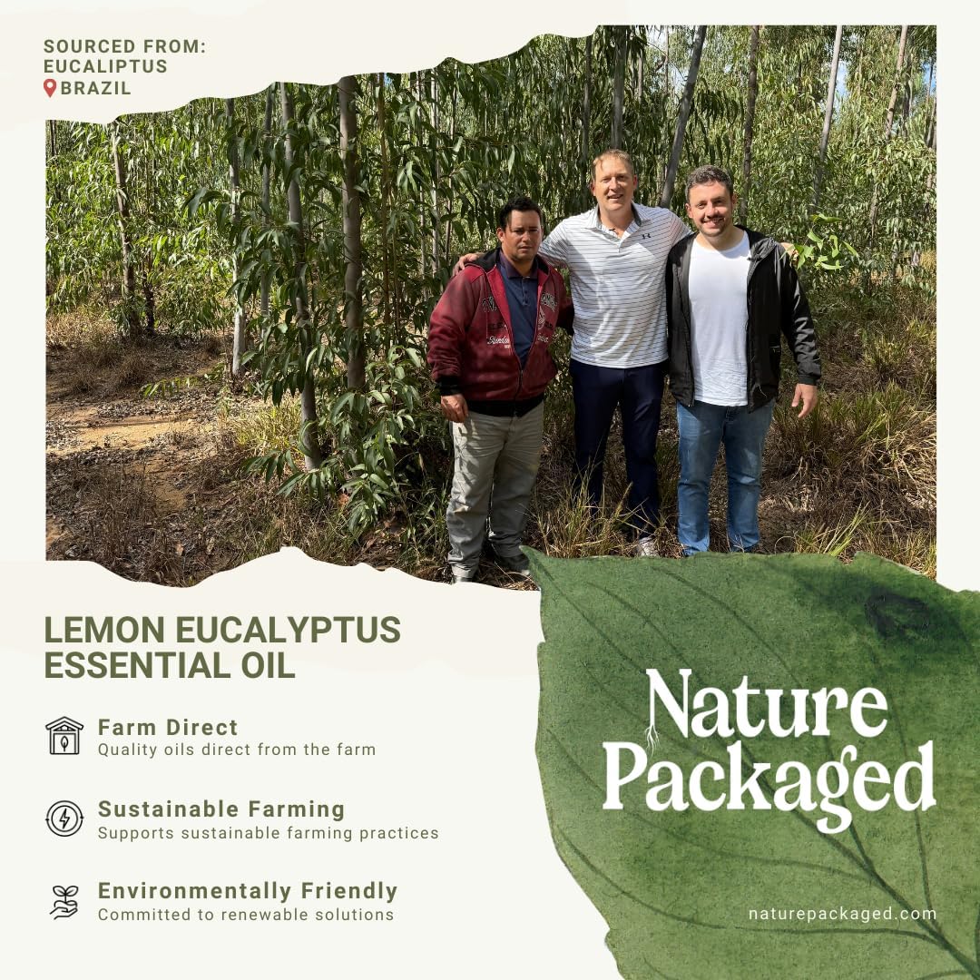 Lemon Eucalyptus Oil by Eucaliptus from Brazil - Essence of Lemon Eucalyptus (8 oz)