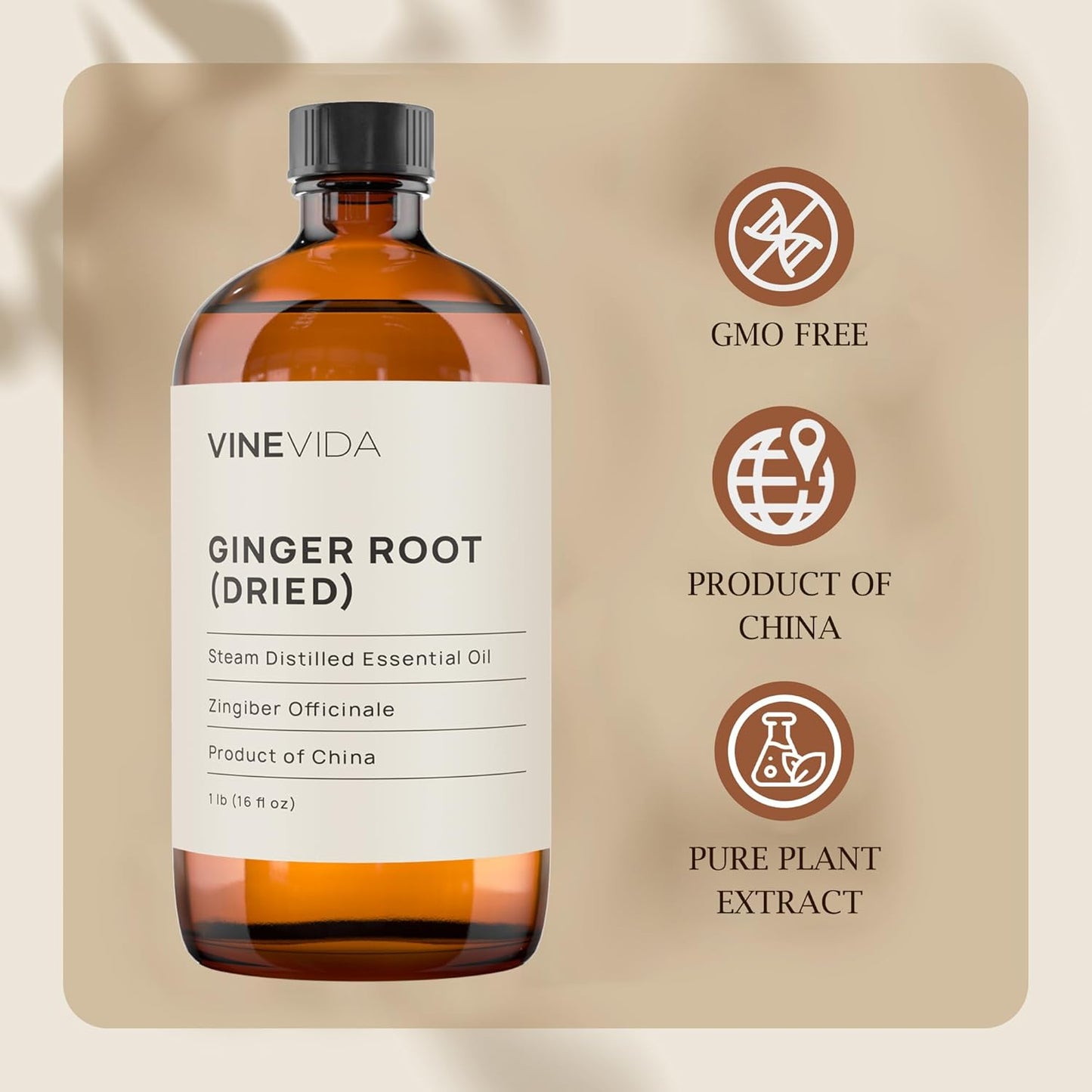 VINEVIDA Dried Ginger Root Essential Oil 16 oz - Undiluted Ginger Root Oil 16 oz - Ginger Root Candle Oil Scent - DIY Candle Scents for Candlemaking - Bulk Essential Oil for Soap Making Safe for Skin