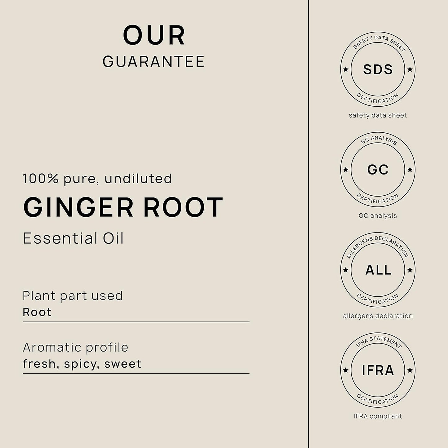 VINEVIDA Fresh Ginger Root Essential Oil 4 oz - Undiluted Ginger Root Oil 4 oz - Ginger Root Candle Oil Scent - DIY Candle Scents for Candlemaking - Bulk Essential Oil for Soap Making Safe for Skin