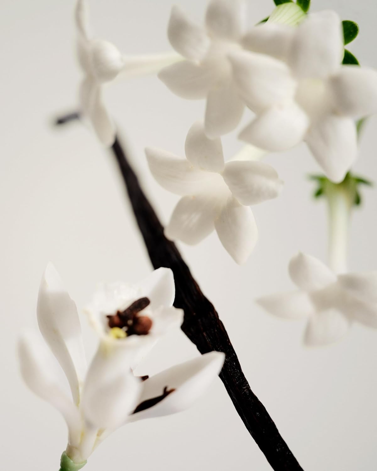 Maison Louis Marie - No.03 L'Etang Noir Roll-On Perfume Oil Sample | Luxury Clean Beauty + Non-Toxic Fragrance (0.1 fl oz | 3 ml)