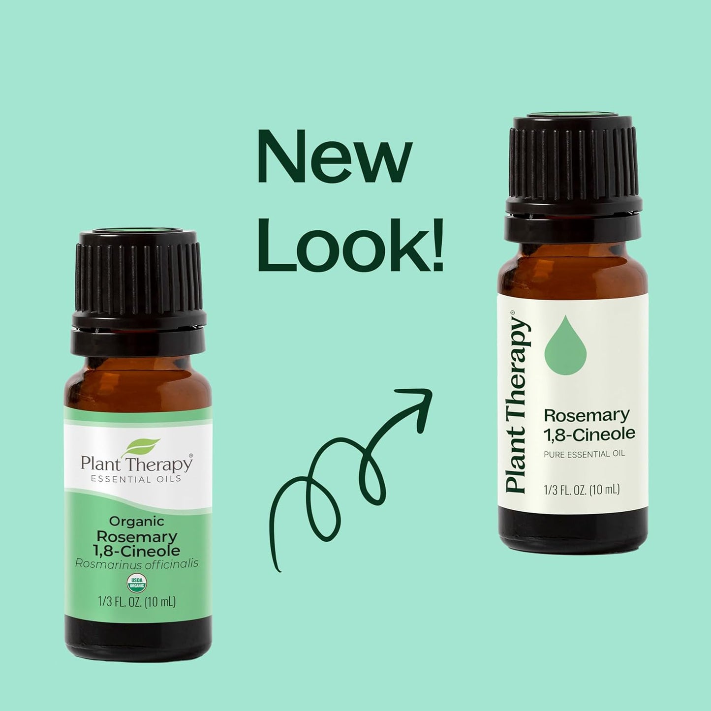 Plant Therapy Rosemary Essential Oil for Hair Growth, 100% Pure, Undiluted, Natural Aromatherapy for Diffuser & Rosemary Oil for Hair & Scalp, Therapeutic Grade 30 mL (1 oz)