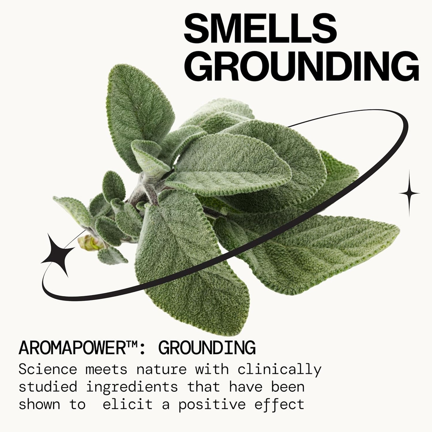 Pacifica Montana Sky Spray Perfume – Clean Vegan Fragrance for Women with Cedarwood & Sage – Grounding Earthy Woodsy Scent w/Cedarwood, Black Pepper, Sage, Cruelty-Free & Long-Lasting, 2 fl oz