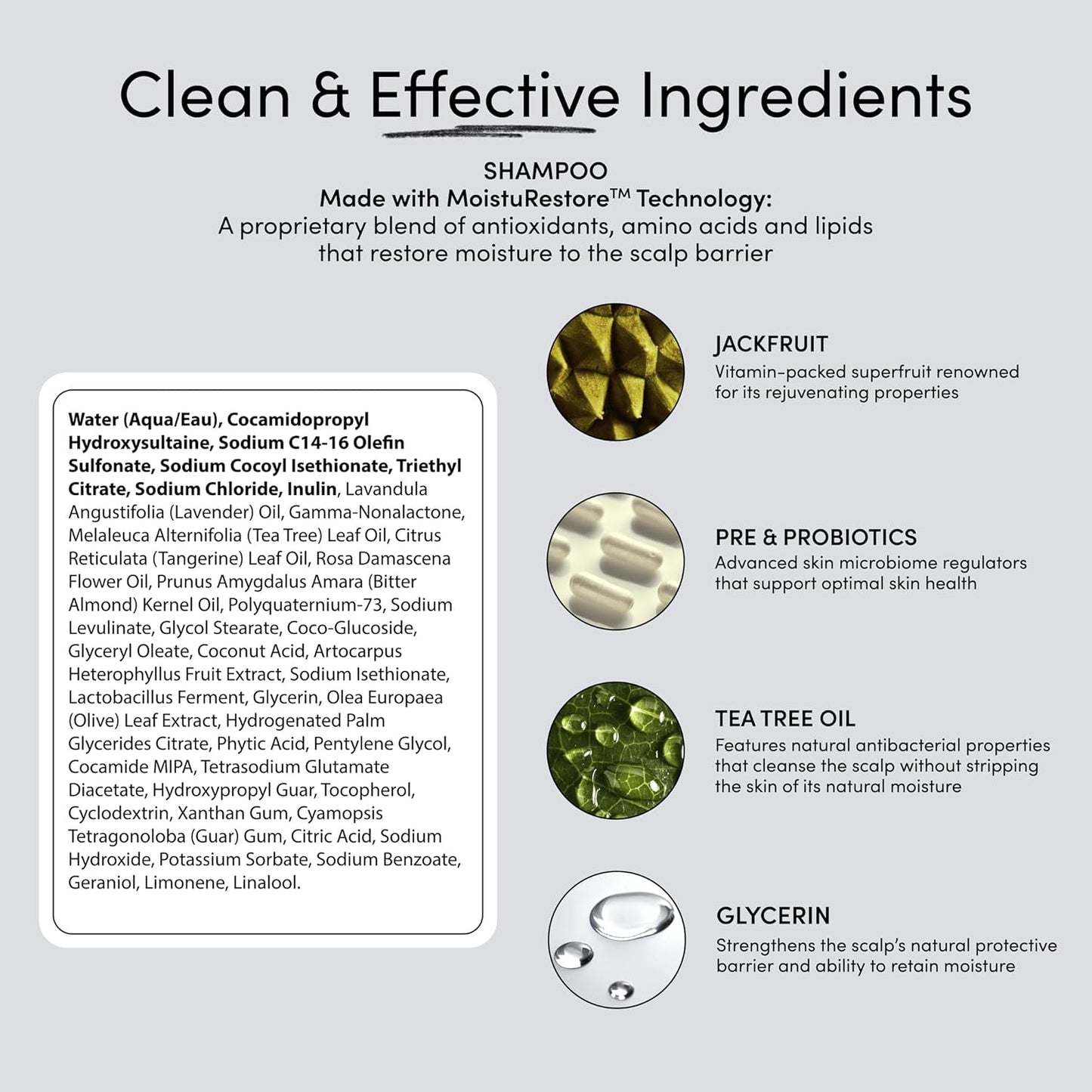 Jupiter Hydrating Shampoo, Conditioner, and Scalp Moisturizer Set – Moisturizing, Nourishing, and Strengthening Hair Care – Daily Scalp & Hair Hydration – Color-Safe, Sulfate-Free, Paraben-Free