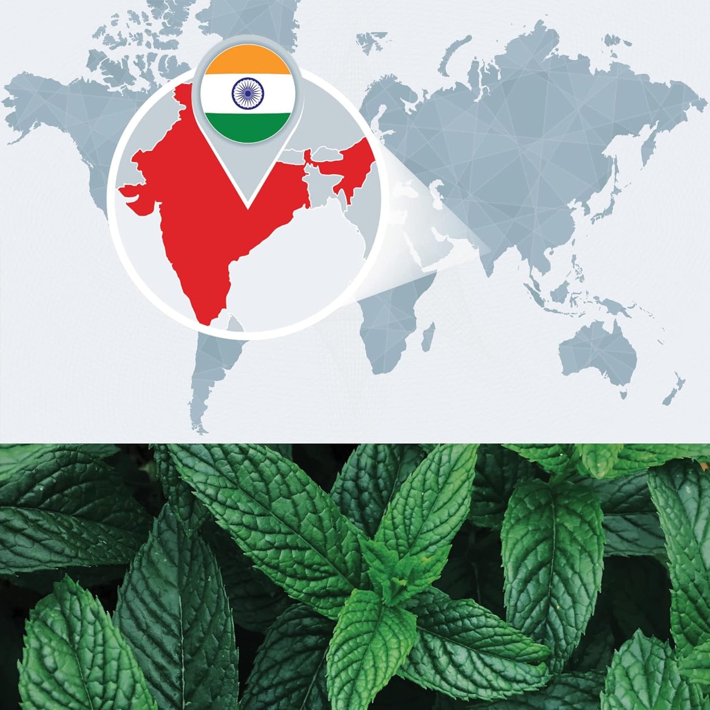 Bulk Peppermint Essential Oil - Large Size 32 fl oz Bottle - 100% Pure and Undiluted Therapeutic Grade Mentha Piperita - Concentrated Extract