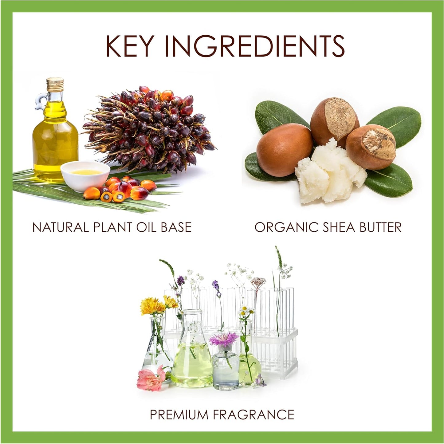 BELA Ocean Soap 3.3 OZ Pack of 6, Long Lasting French Triple Milled Bar Soap with Organic Shea Butter, Hand, Face and Body Wash Bar, Made in Australia