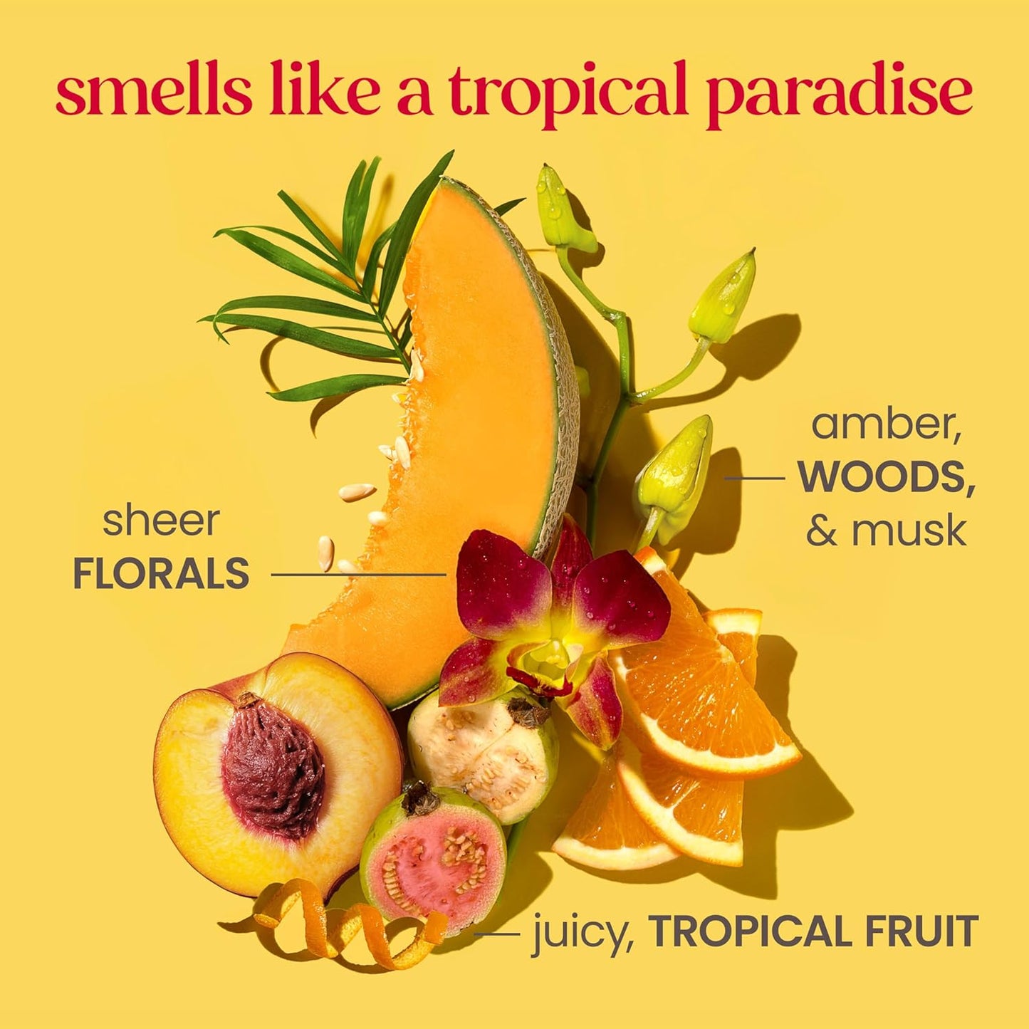 Burt's Bees Boosted Body Lotion, With a Ceramide, Niacinamide and Peptide Complex, Lightweight Daily Lotion Helps Boost Skin Barrier, Tropical Scented, 13 oz. Bottle