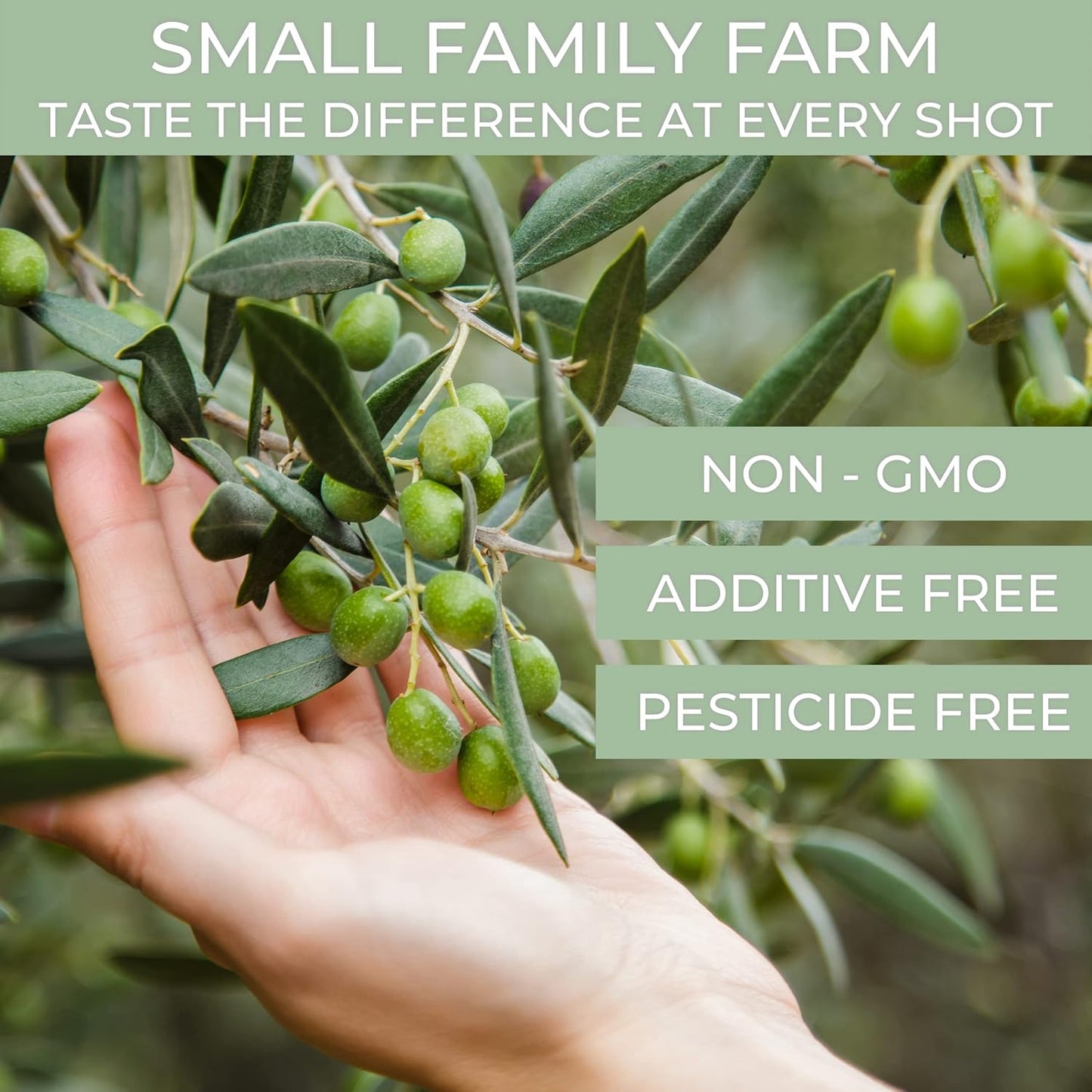 N°1 Drinking Extra Virgin Olive Oil - Italian Olive Oil from Italy 2025 Gold Awards Winner - 514 mg/kg High in Polyphenols evoo - 100% Unrefined and Cold pressed evoo for Drinking and Finishing Use