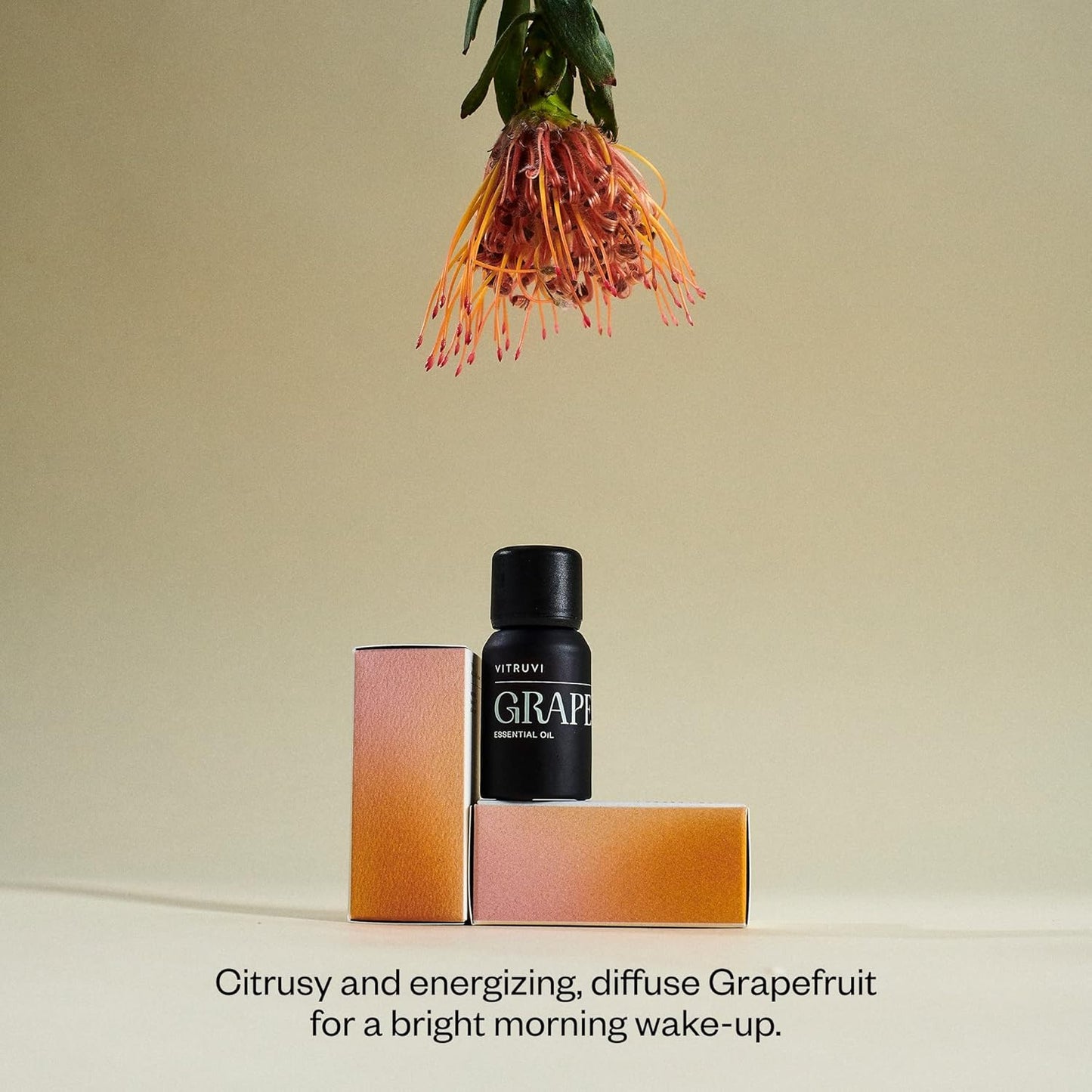 Vitruvi Grapefruit, 100% Pure Premium Essential Oil (0.3 fl.oz)