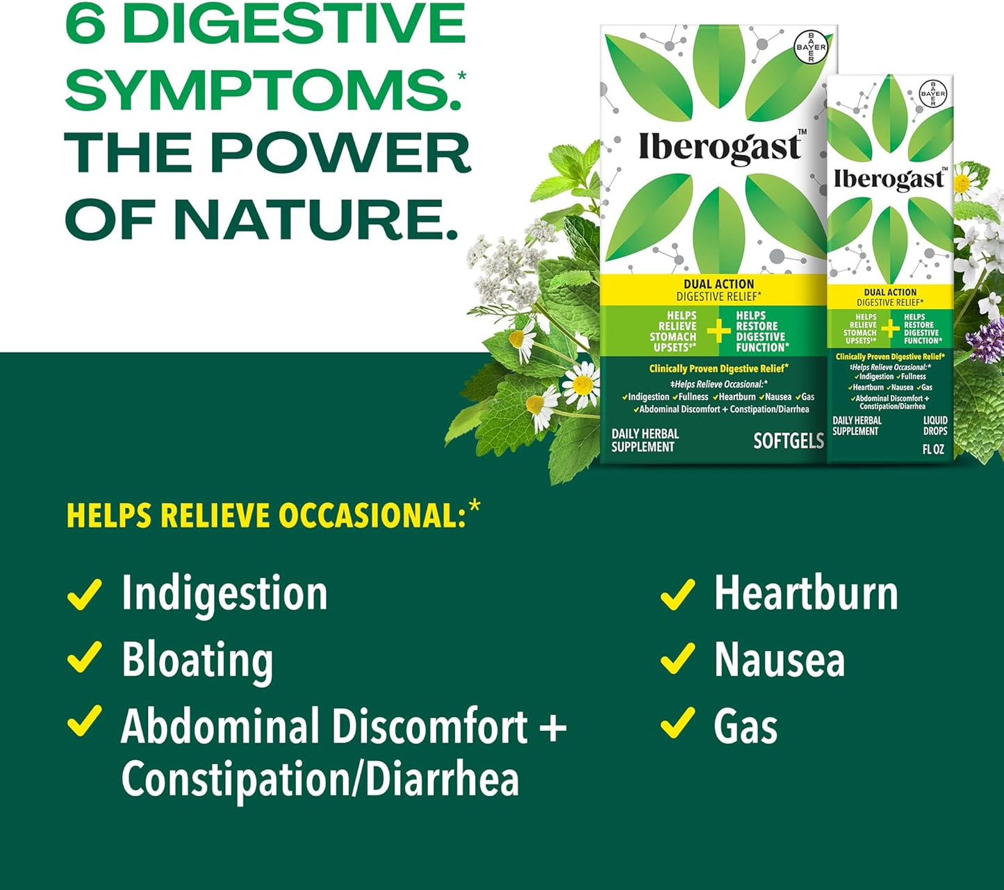 Iberogast Liquid Drops, Herbal Relief of Stomach Upsets: Occasional Indigestion, Bloating, Gas, Nausea, Upset Stomach; Gluten Free; 6-Herb Blend with Iberis Amara, Peppermint, Licorice; 50mL