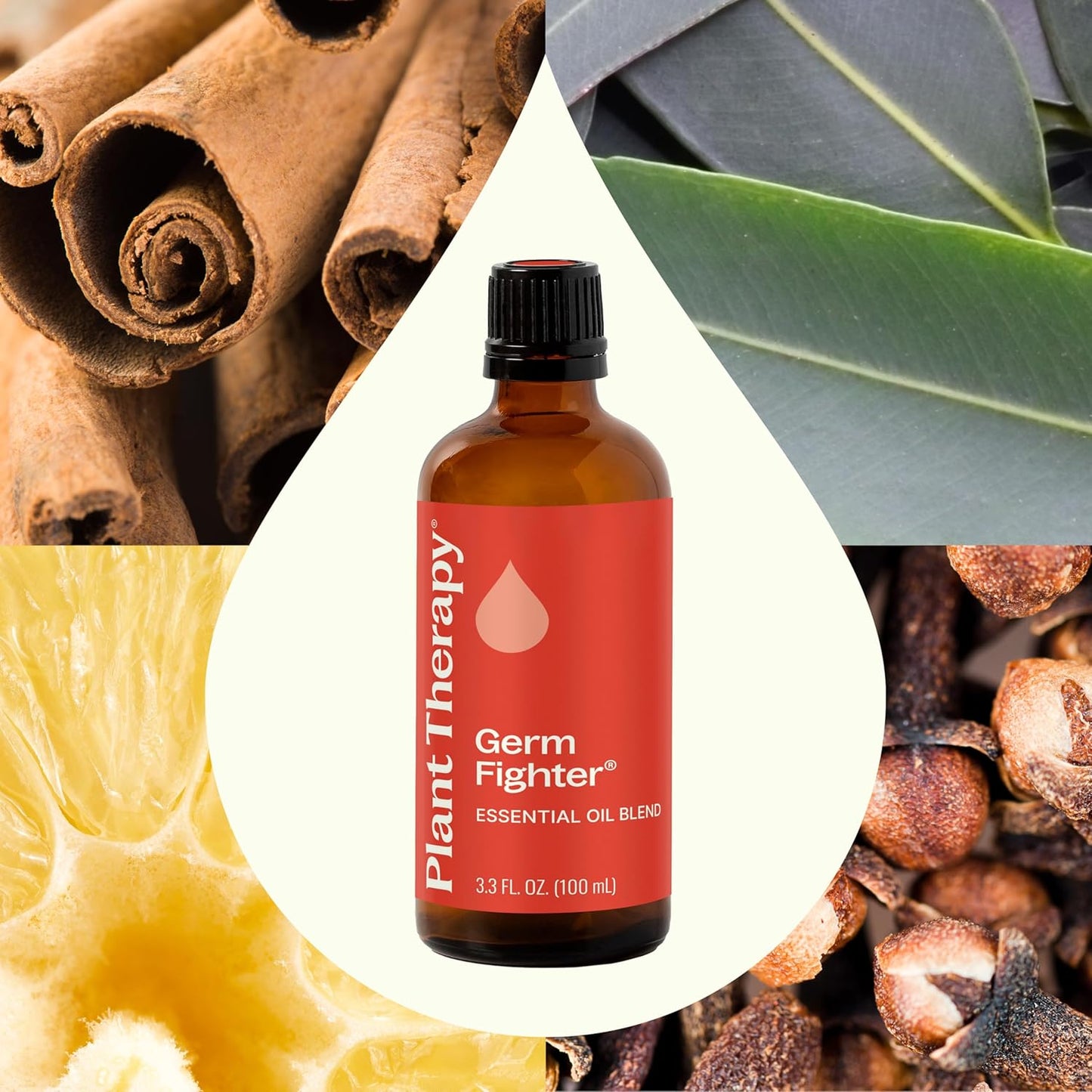 Plant Therapy Germ Fighter Essential Oil Blend 100% Pure, Undiluted, Natural Aromatherapy, Therapeutic Grade 100 mL (3.3 oz)