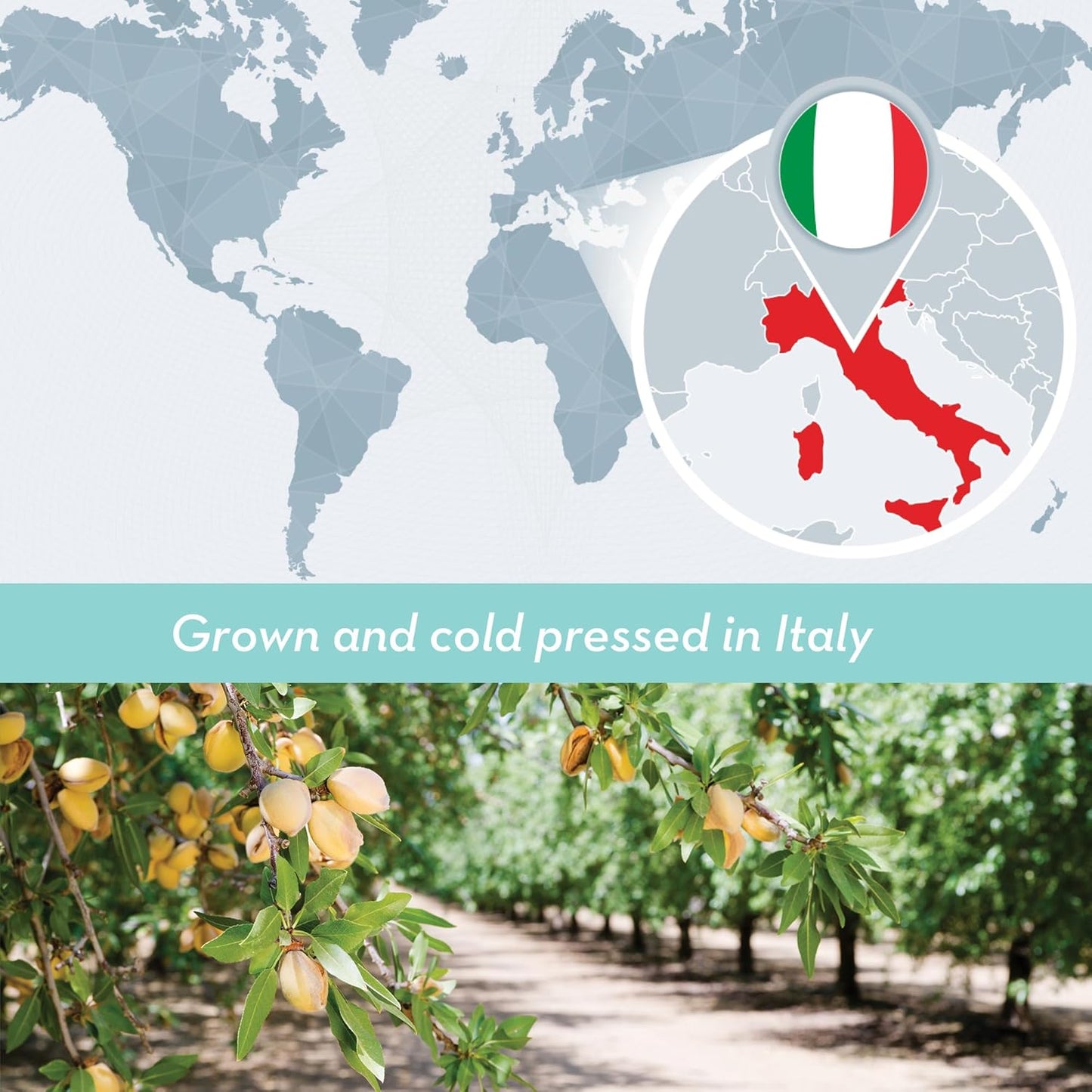 Bulk Sweet Almond Oil - 32 Fl Oz Large Size Bottle, Cold Pressed 100% Pure - Moisturizer for Skin, Hair, Body, Carrier Oil for Massage Oils