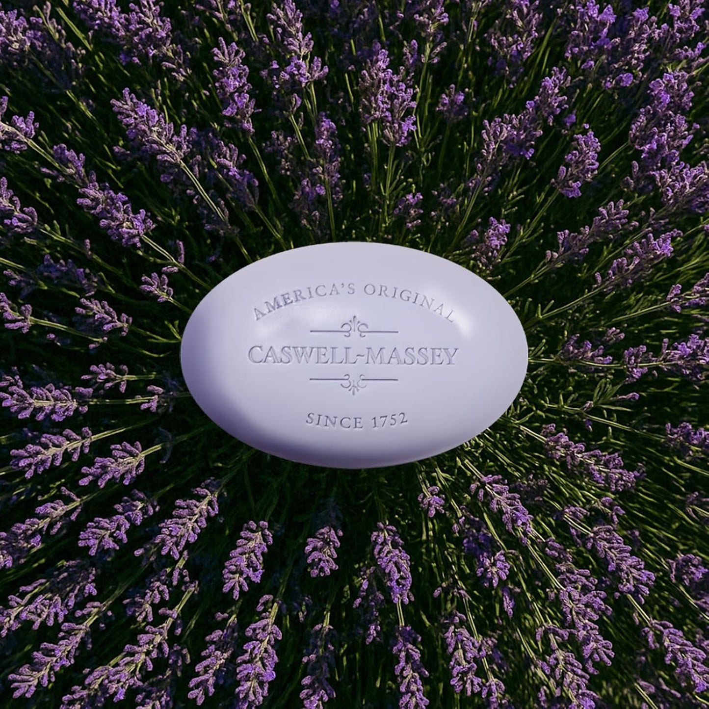 Caswell-Massey Lavender Natural Bar Soap for Women, Moisturizing Triple-Milled Body Soap for Bath, Face & Hands, Soothing Floral Scent, Plant-Based, Essential Oils, Cruelty-Free, Made in USA, 5.8 oz